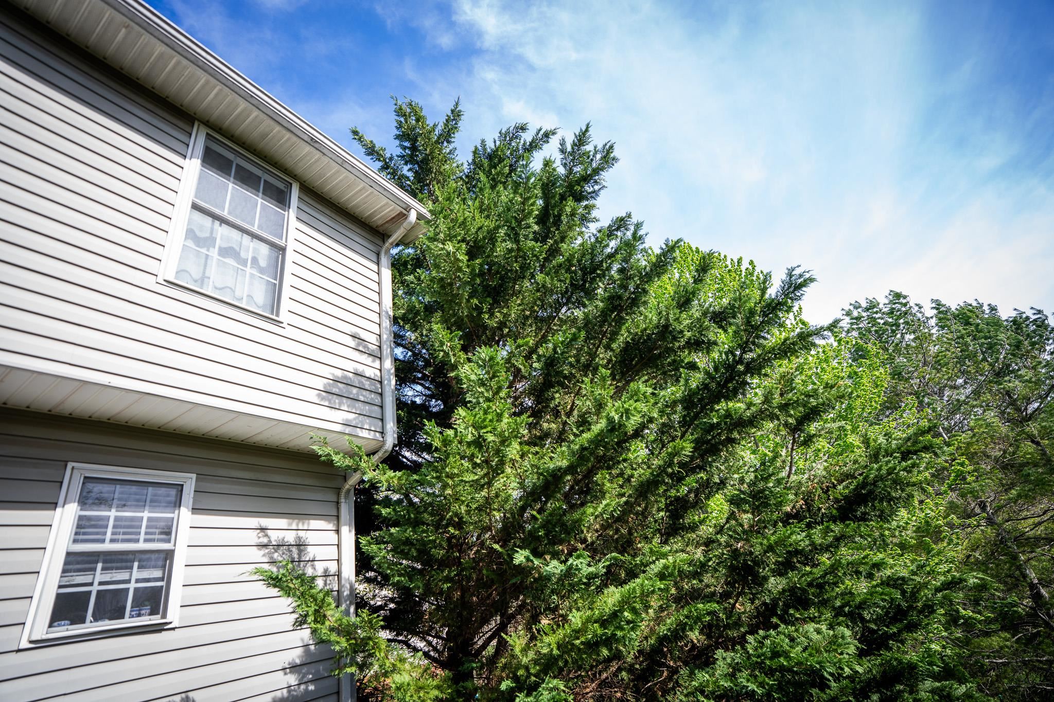 1603 Winslow Drive Blacksburg VA 24060