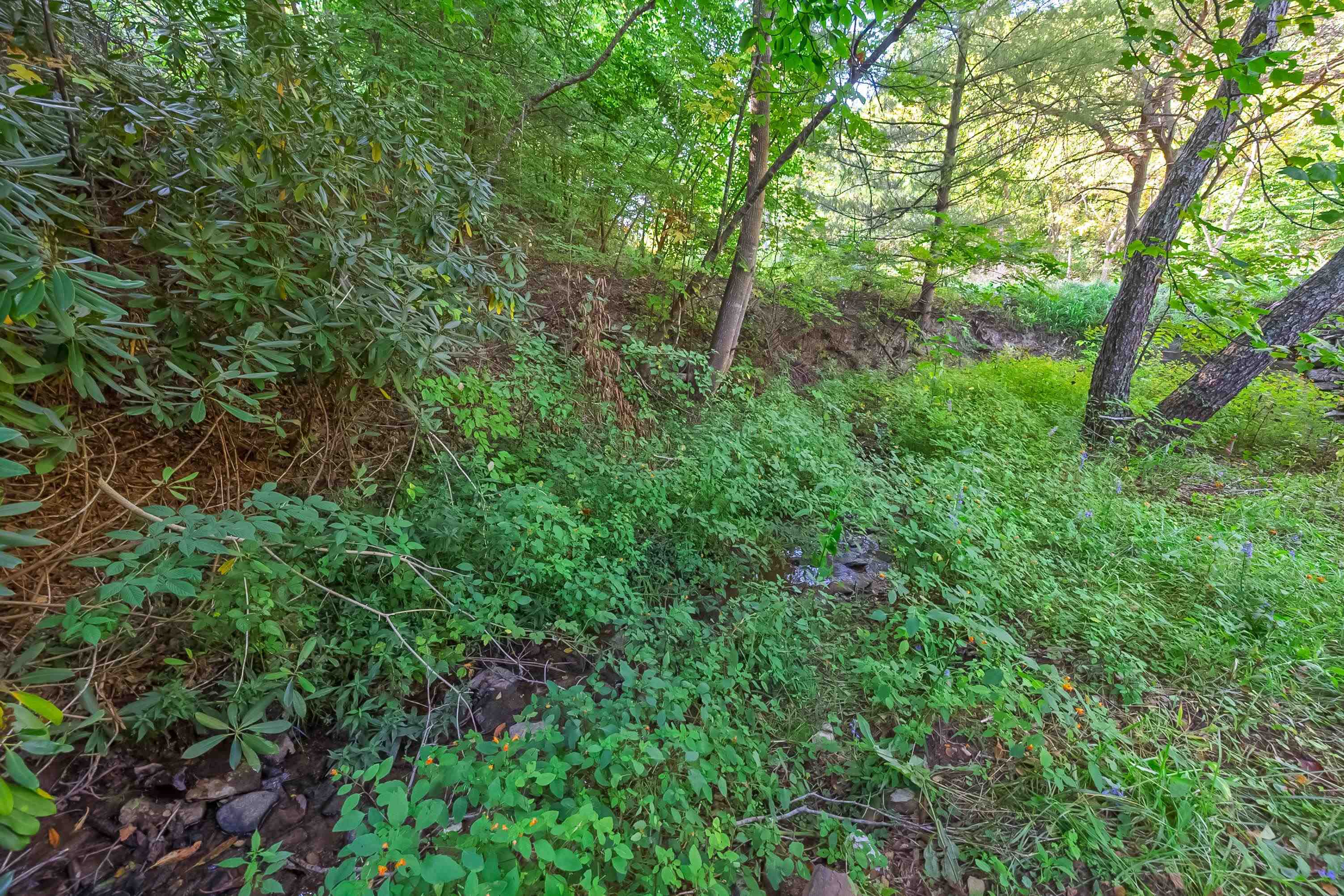 6058 Riner Road Riner VA 24149