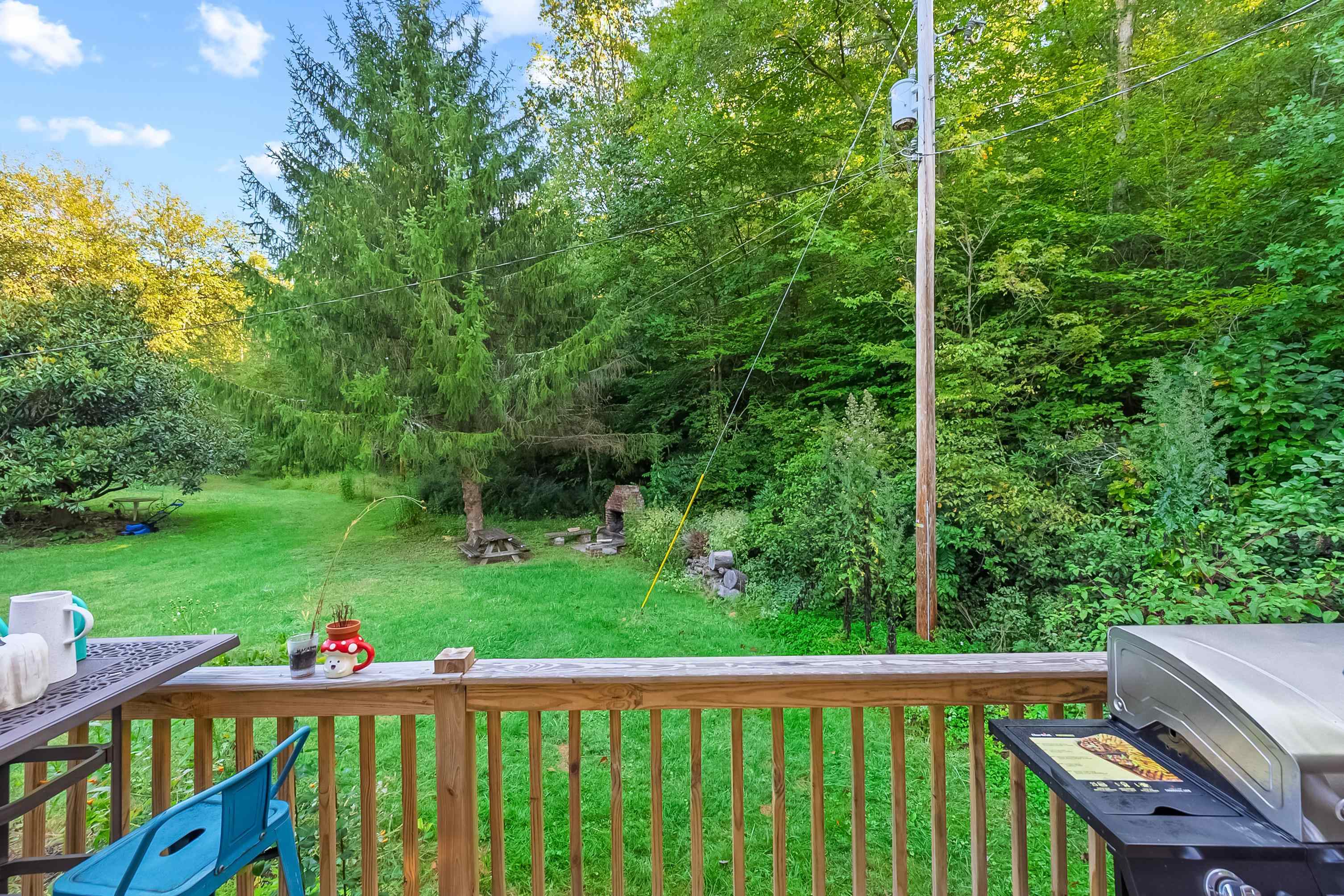 6058 Riner Road Riner VA 24149