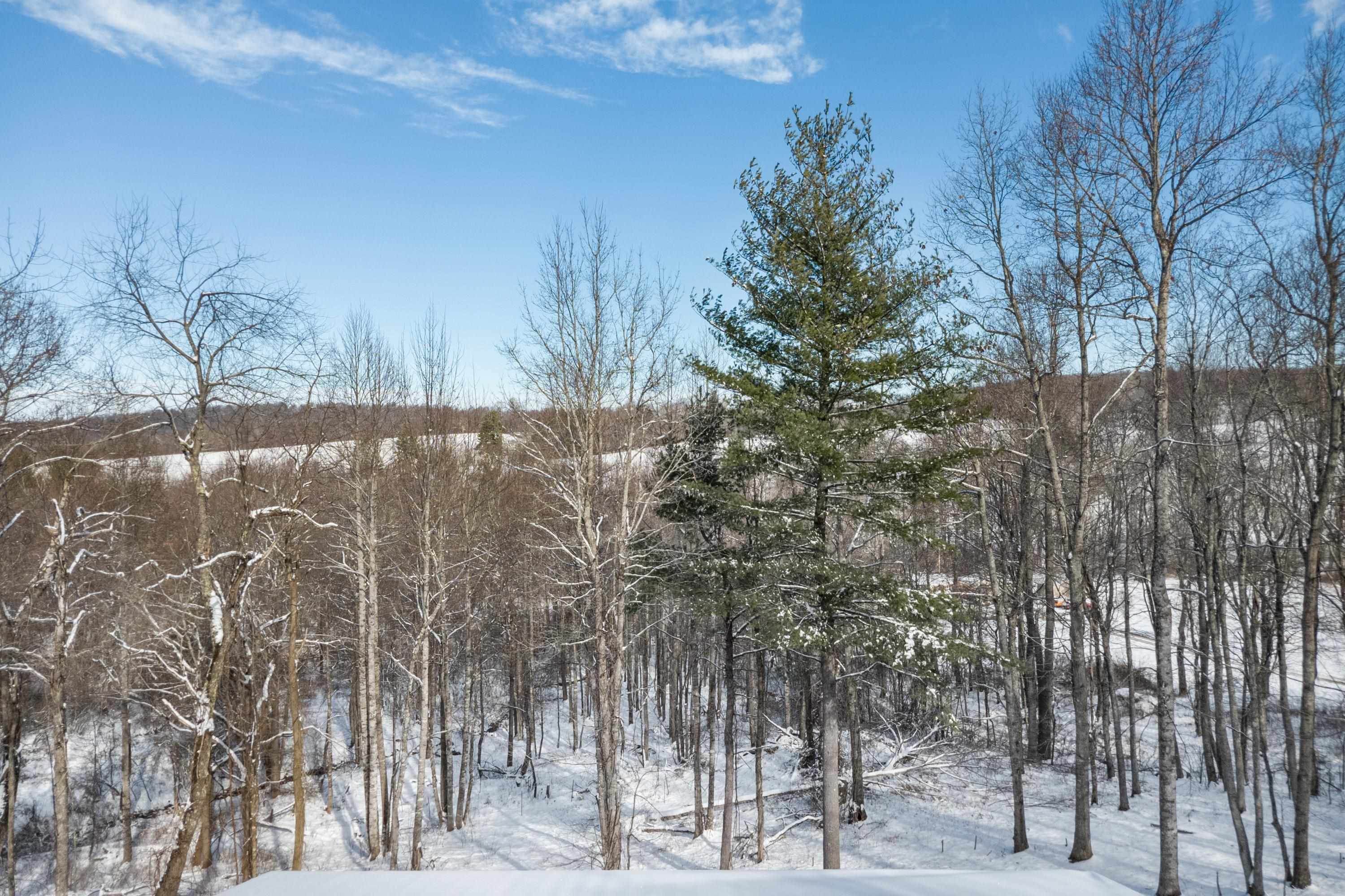 4681 Franklin Pike Floyd VA 24091