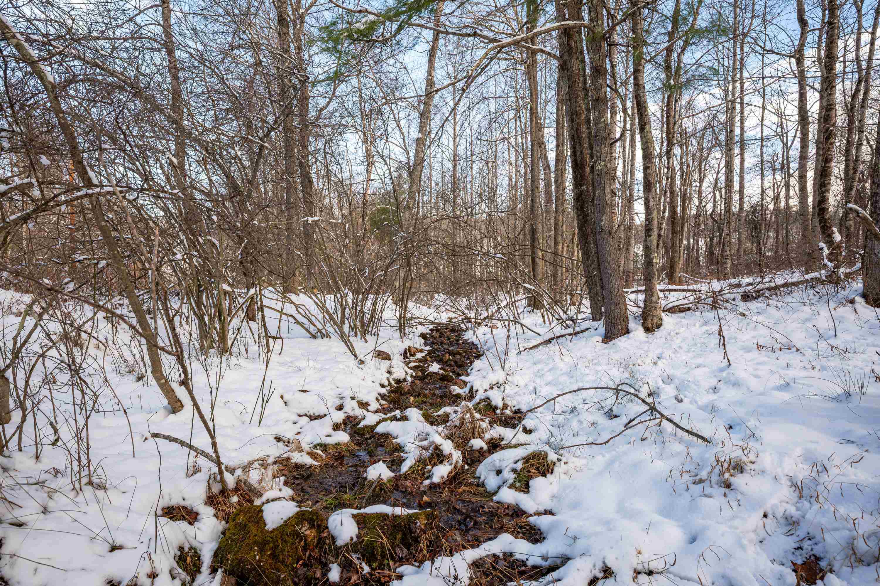 4681 Franklin Pike Floyd VA 24091