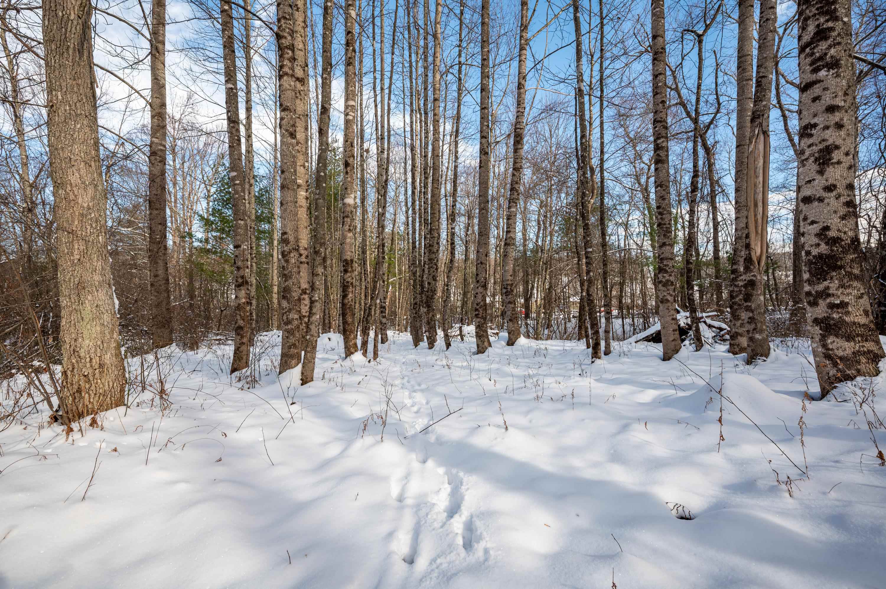 4681 Franklin Pike Floyd VA 24091