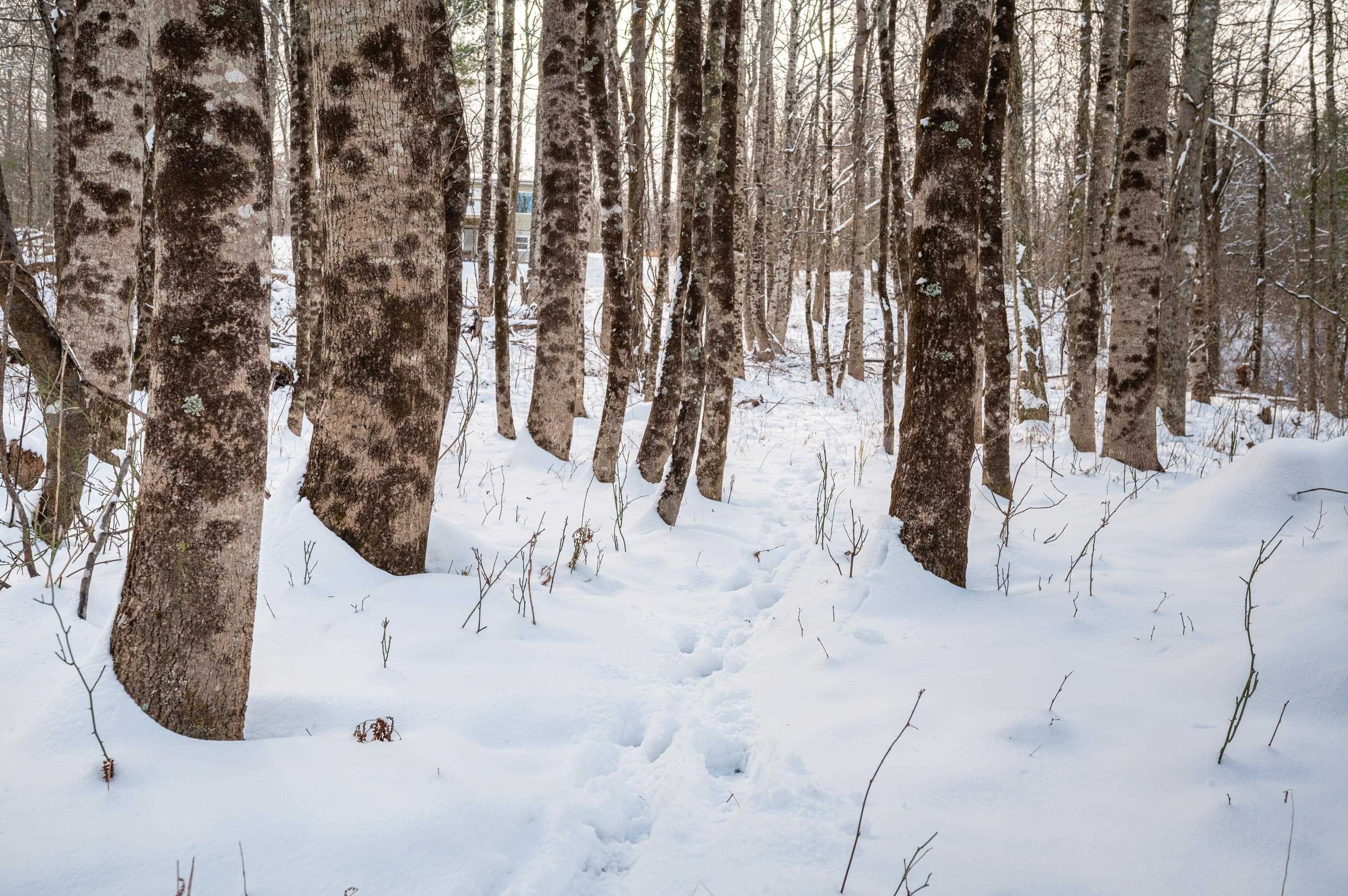 4681 Franklin Pike Floyd VA 24091