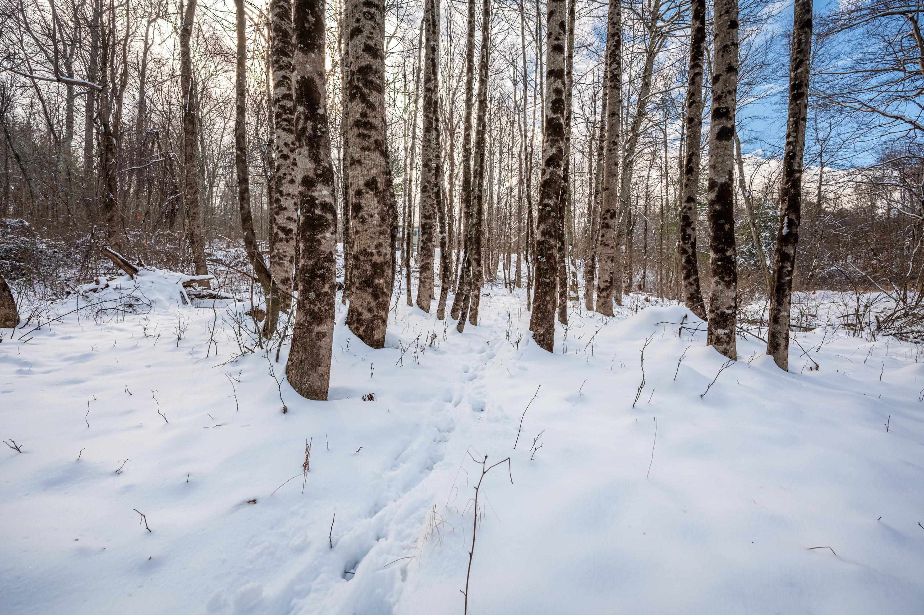 4681 Franklin Pike Floyd VA 24091