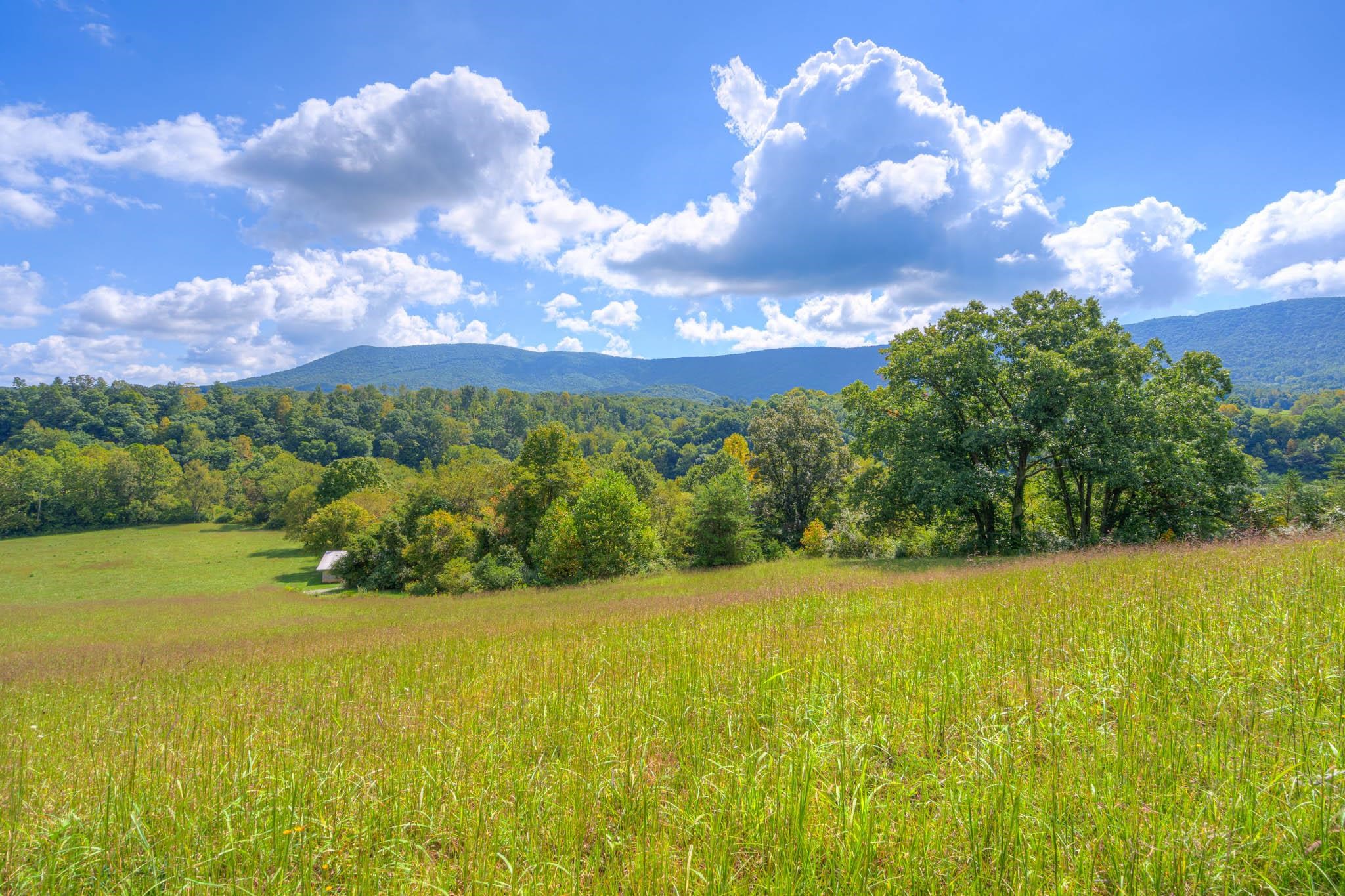1782 Wolf Creek Road Narrows VA 24124