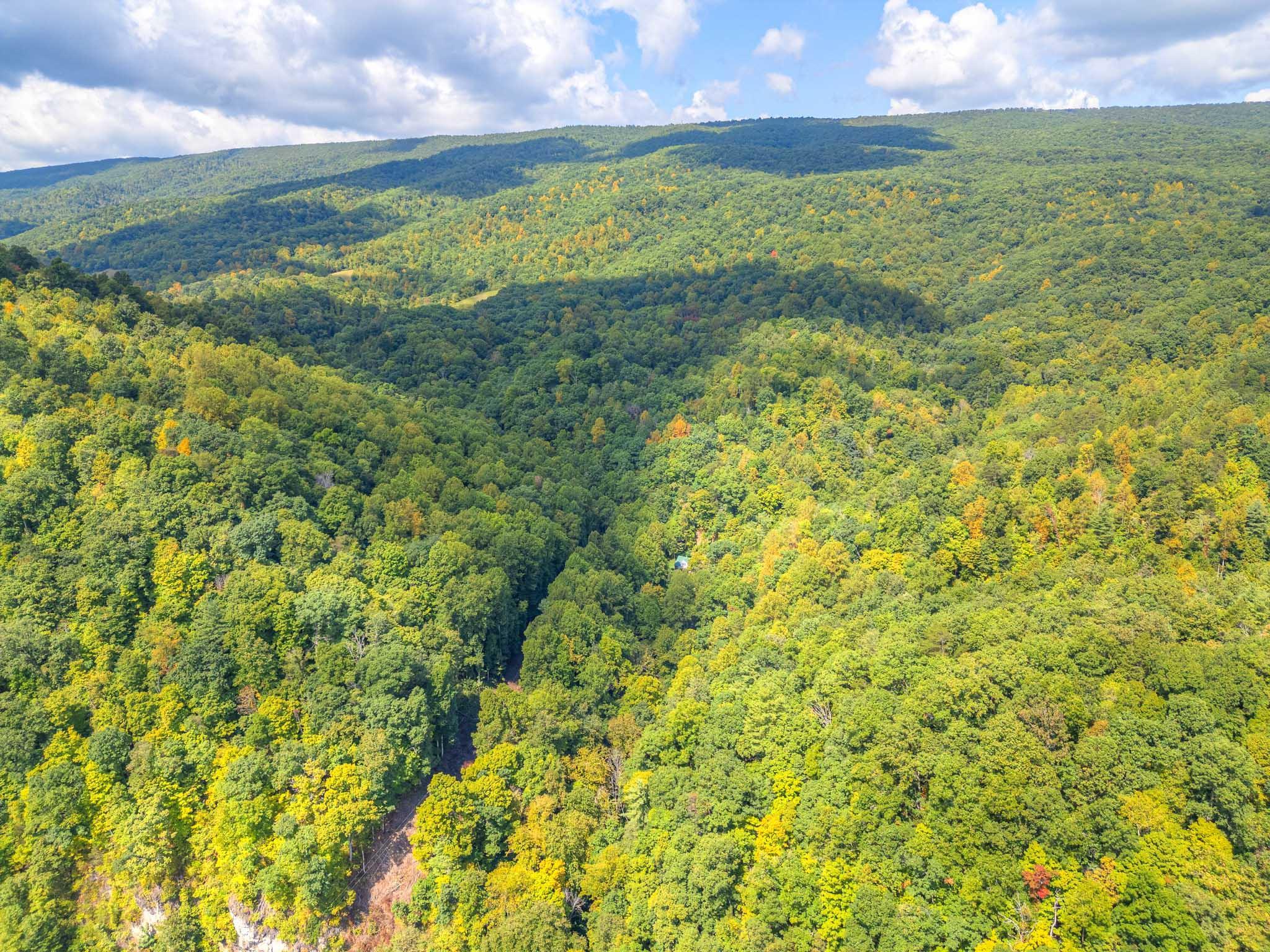 1782 Wolf Creek Road Narrows VA 24124