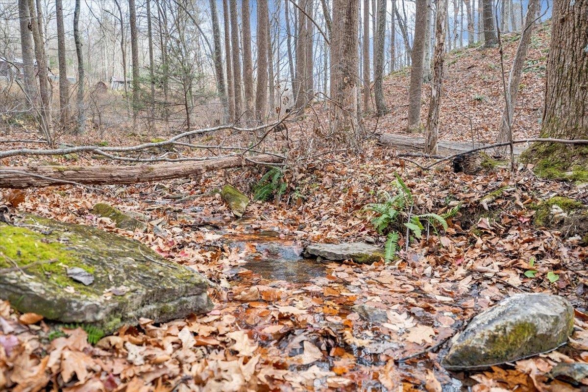 7770 Bending Oak Drive Catawba VA 24070