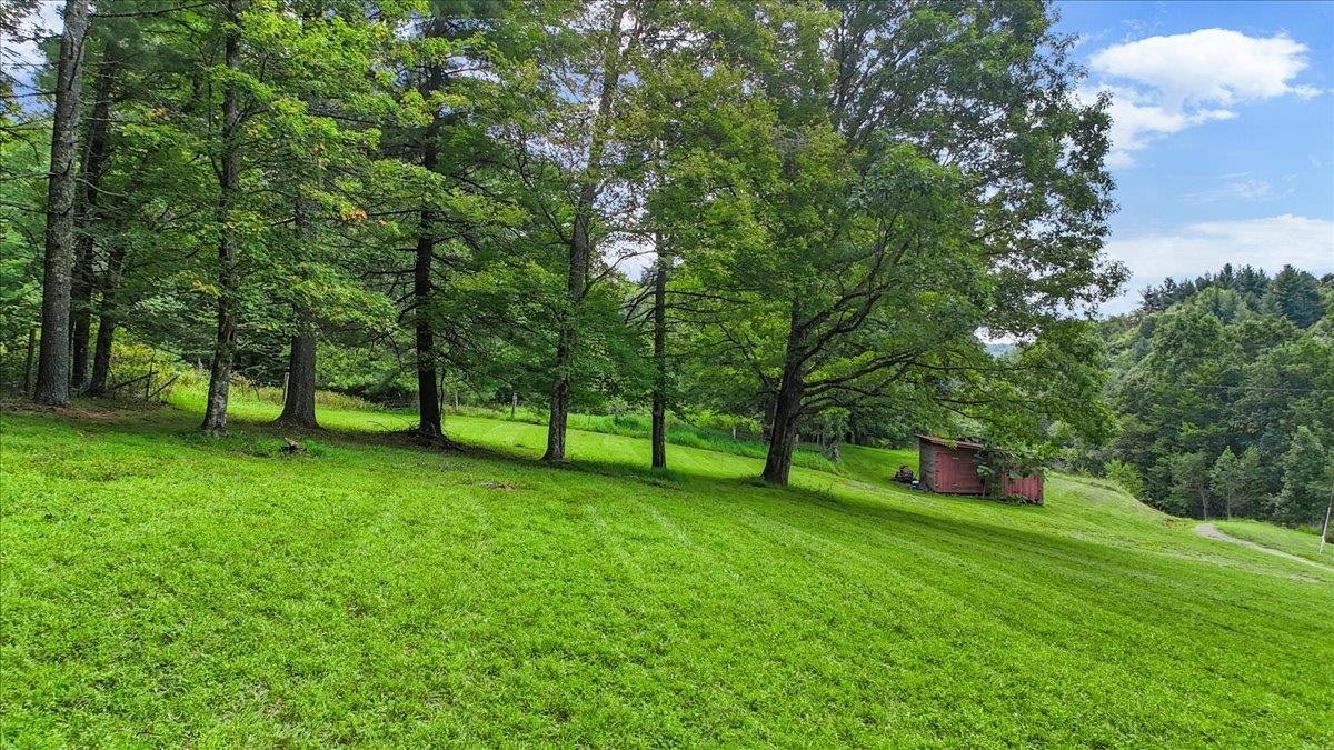 548 Buffalo Vista Lane SW Willis VA 24380