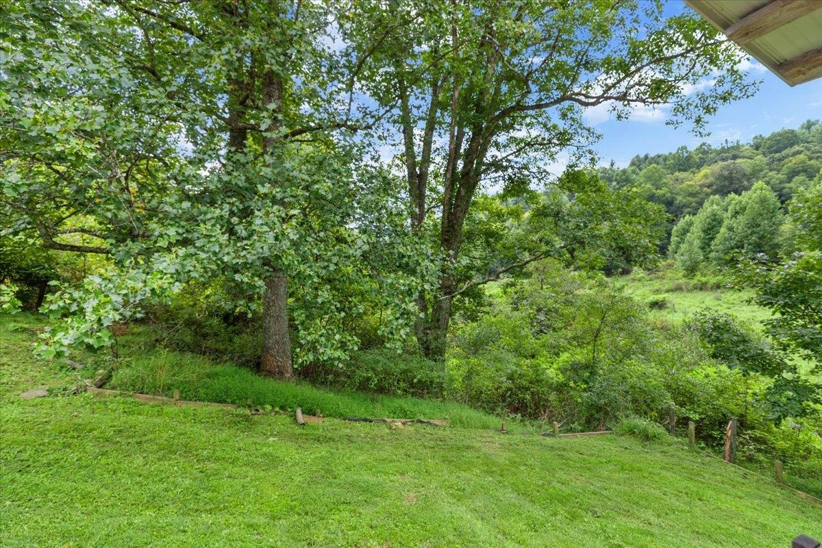 548 Buffalo Vista Lane SW Willis VA 24380