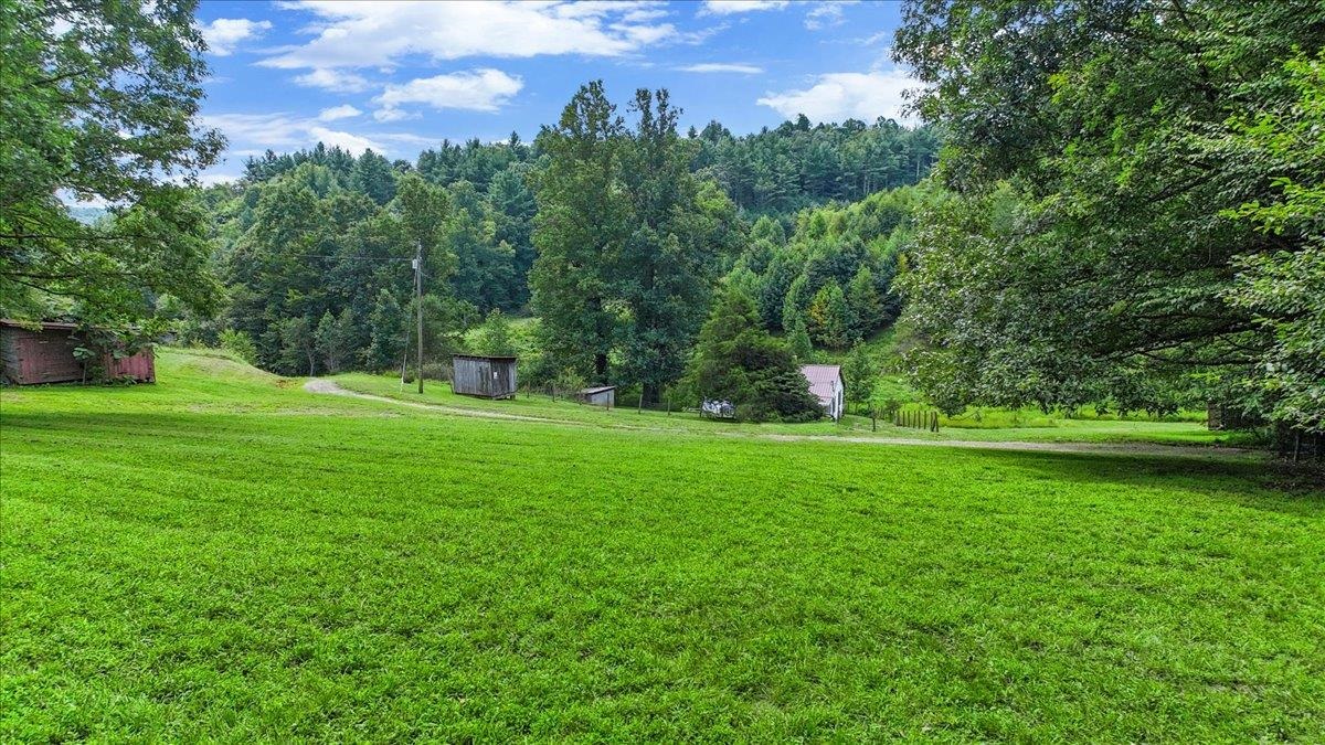 548 Buffalo Vista Lane SW Willis VA 24380