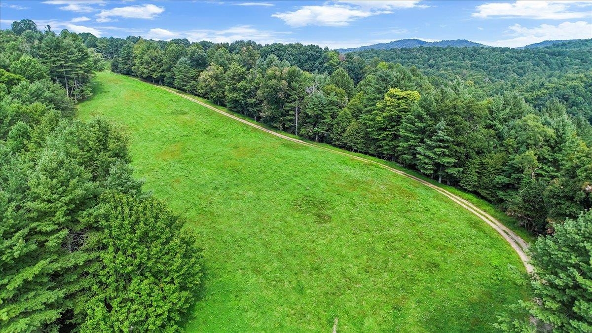 548 Buffalo Vista Lane SW Willis VA 24380