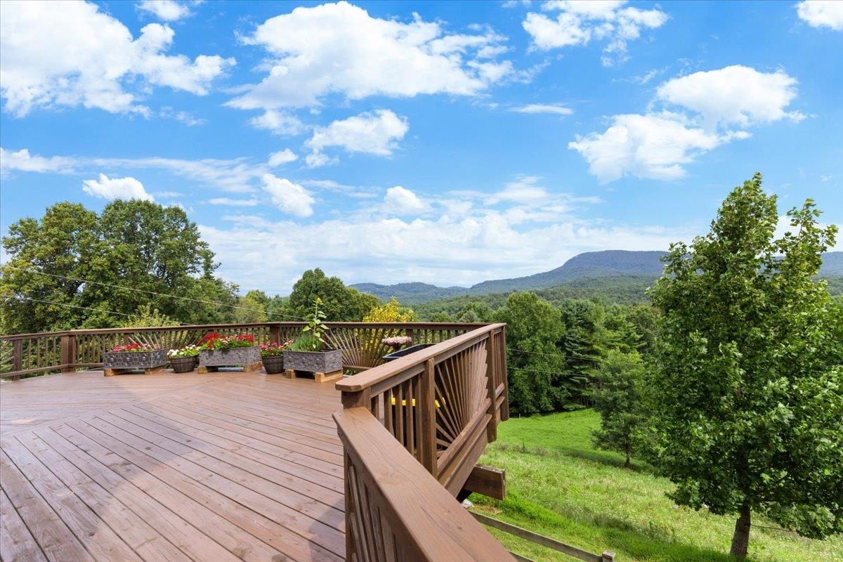 548 Buffalo Vista Lane SW Willis VA 24380