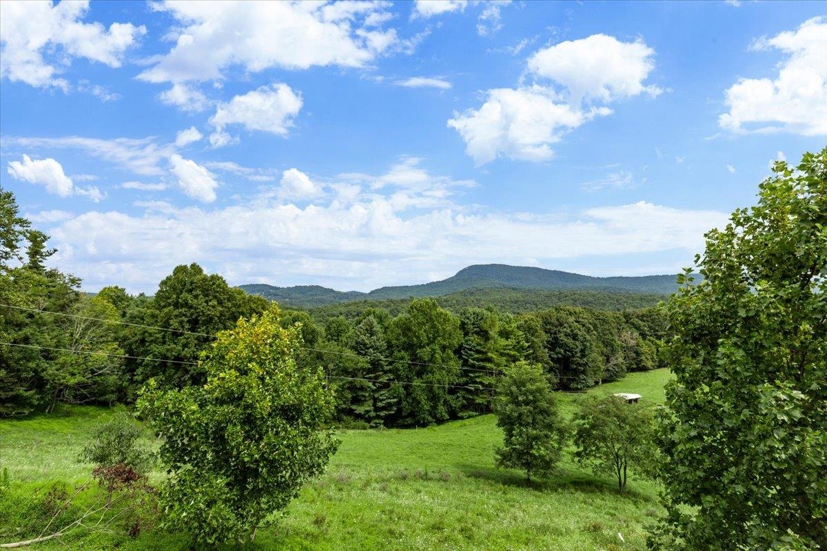 548 Buffalo Vista Lane SW Willis VA 24380