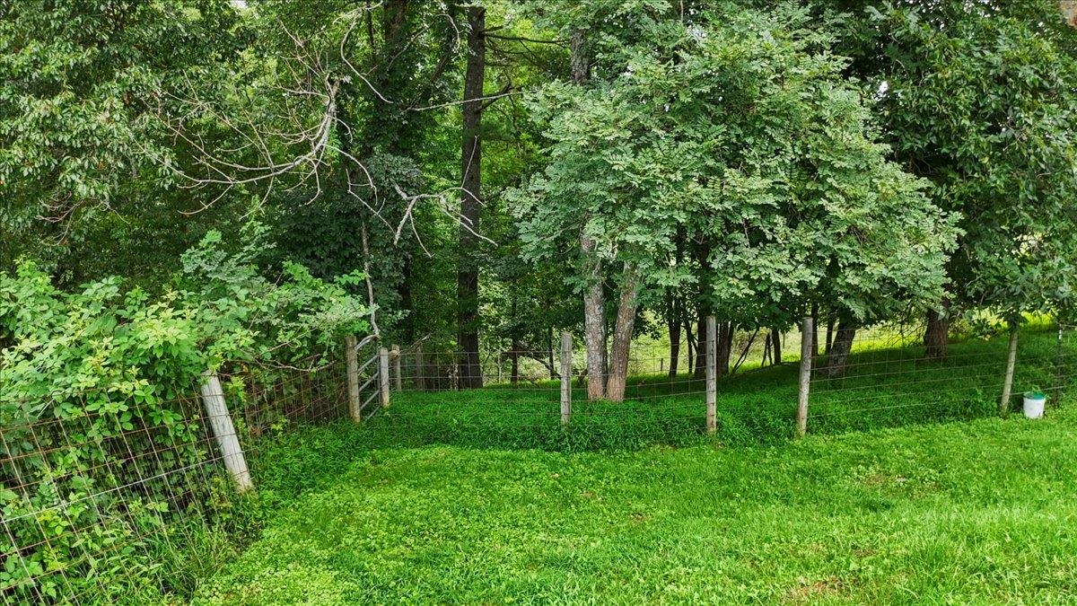548 Buffalo Vista Lane SW Willis VA 24380