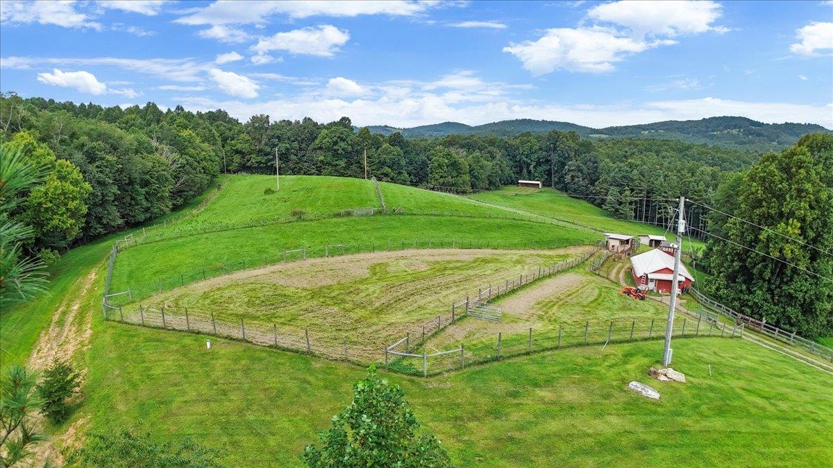 548 Buffalo Vista Lane SW Willis VA 24380