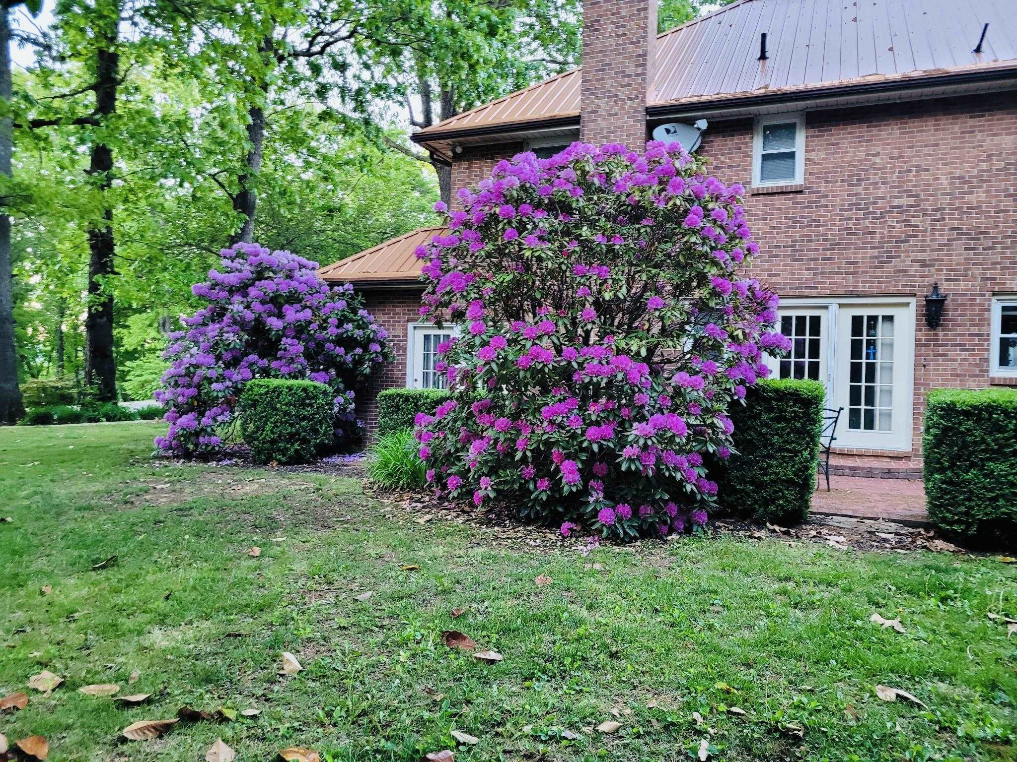 5659 Brenda Avenue Dublin VA 24084