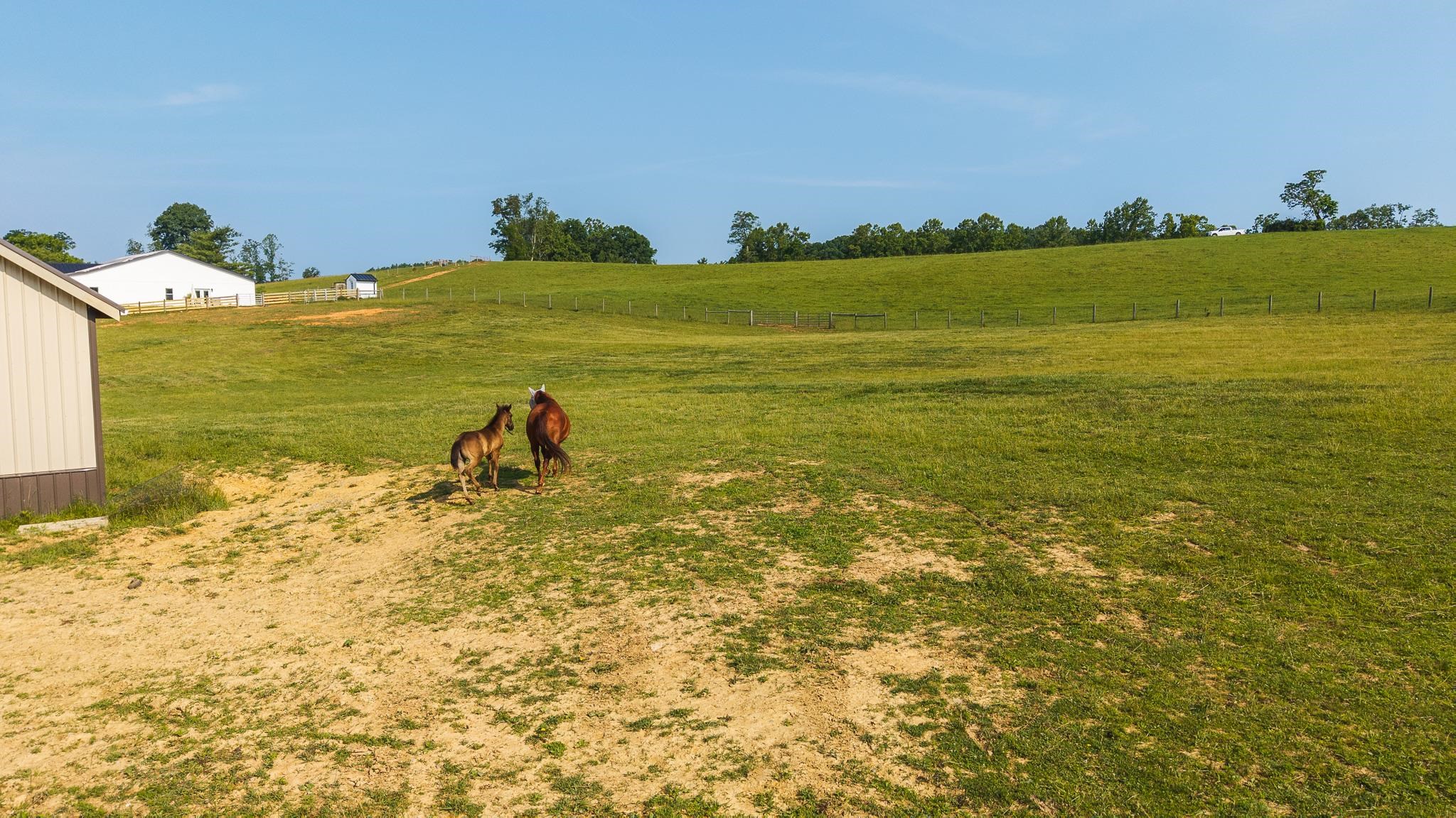 2822 Huffville Road Pilot VA 24138