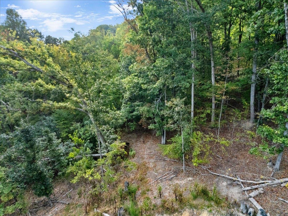 2601 Chaucer Lane Riner VA 24149