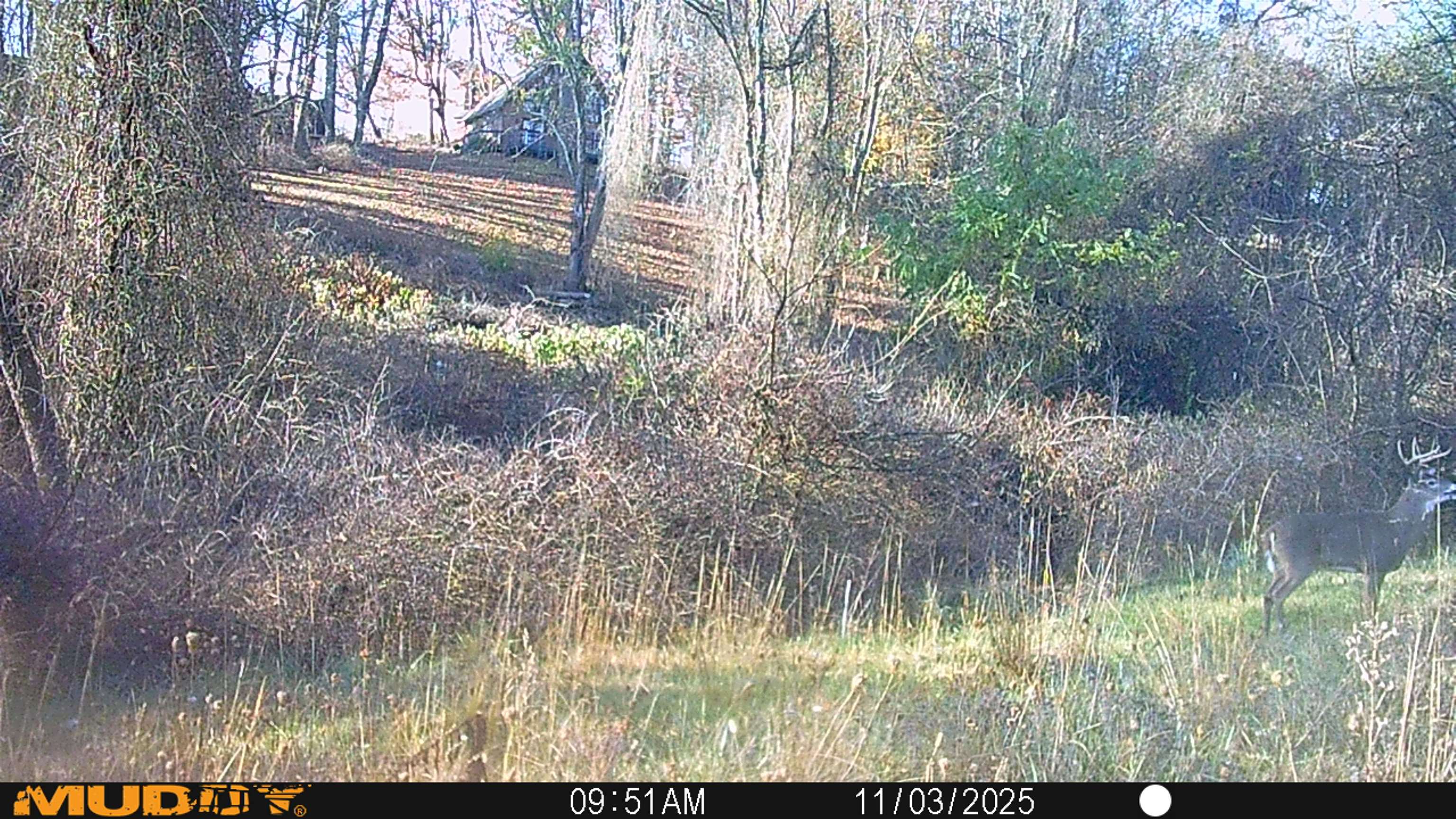 2653 Old Baltimore Road Draper VA 24324