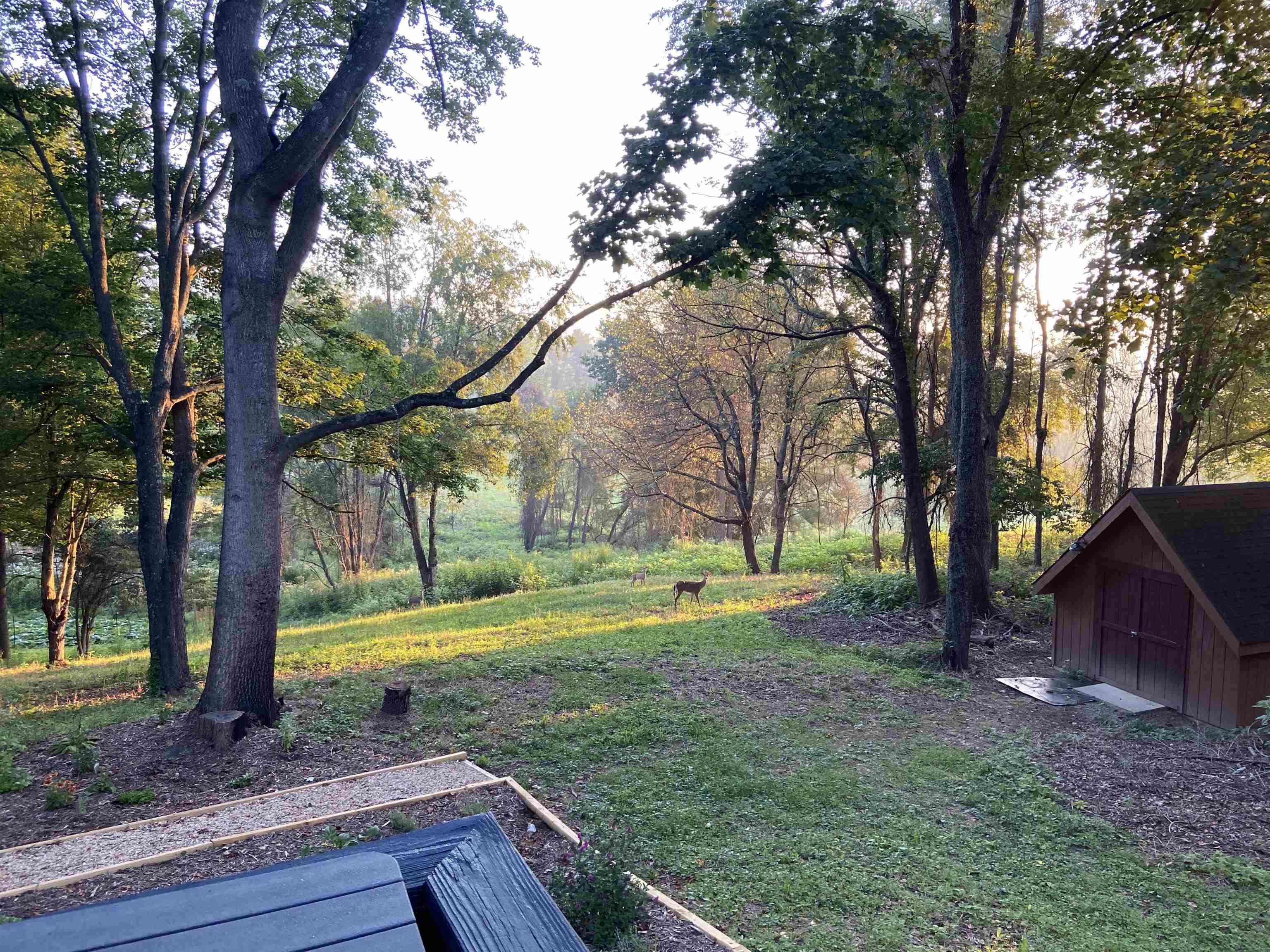 2653 Old Baltimore Road Draper VA 24324