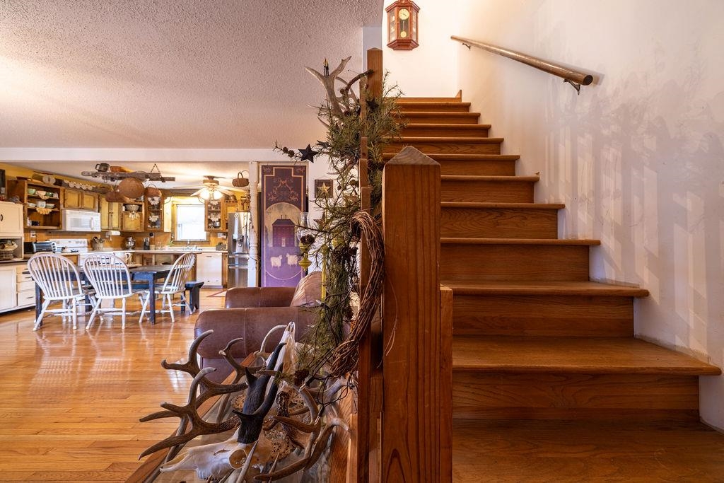 543 Cox Store Road Floyd VA 24091