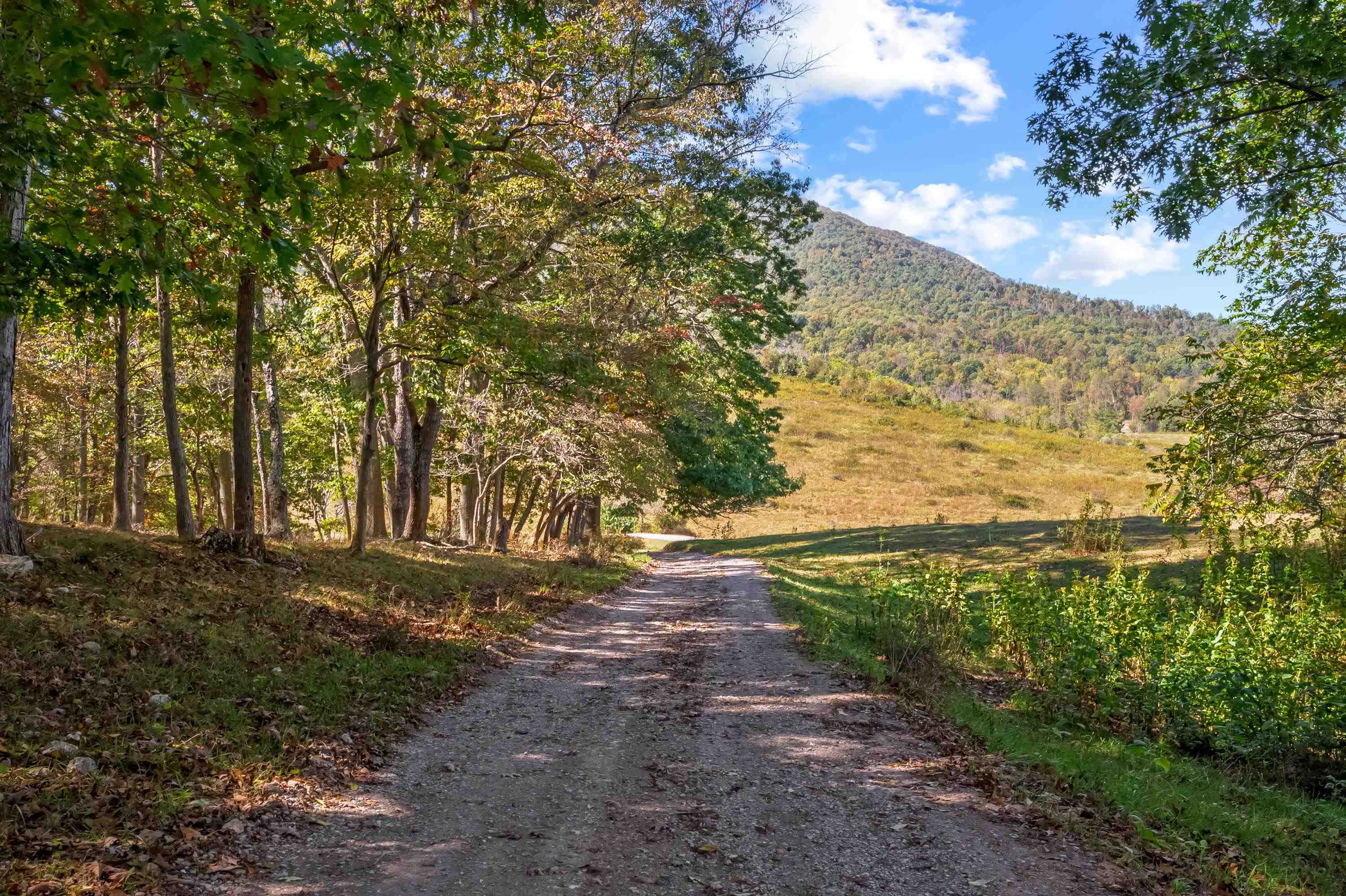 207 Broad Hollow Road Pearisburg VA 24134