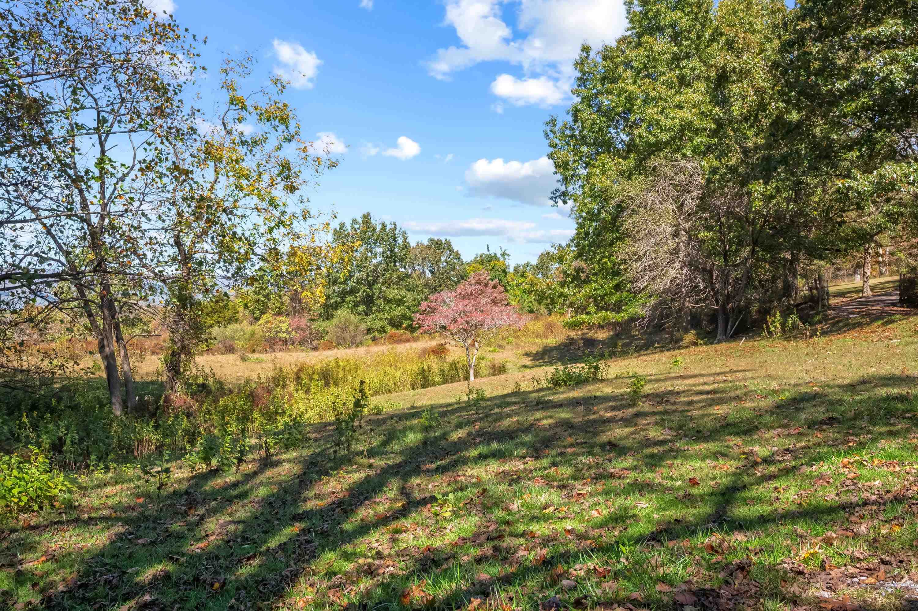 207 Broad Hollow Road Pearisburg VA 24134