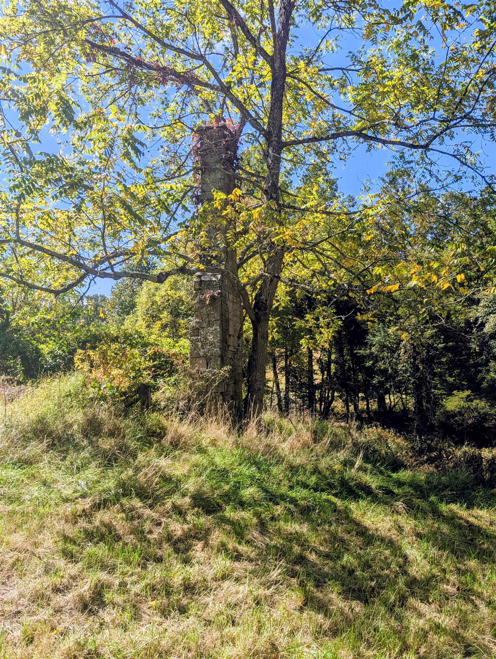 1705 Barberry Road Floyd VA 24091