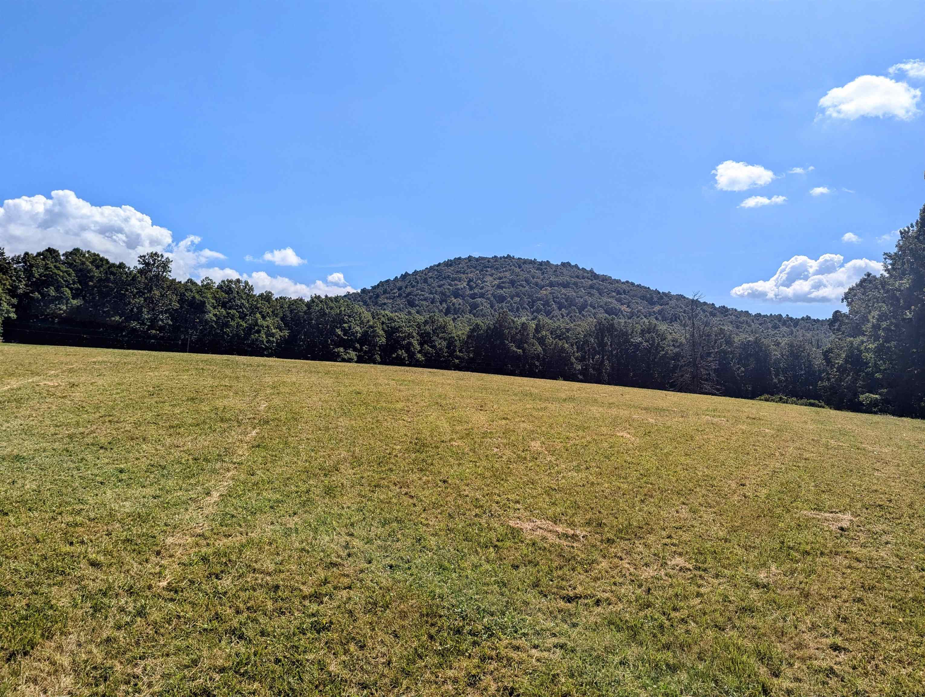 1705 Barberry Road Floyd VA 24091