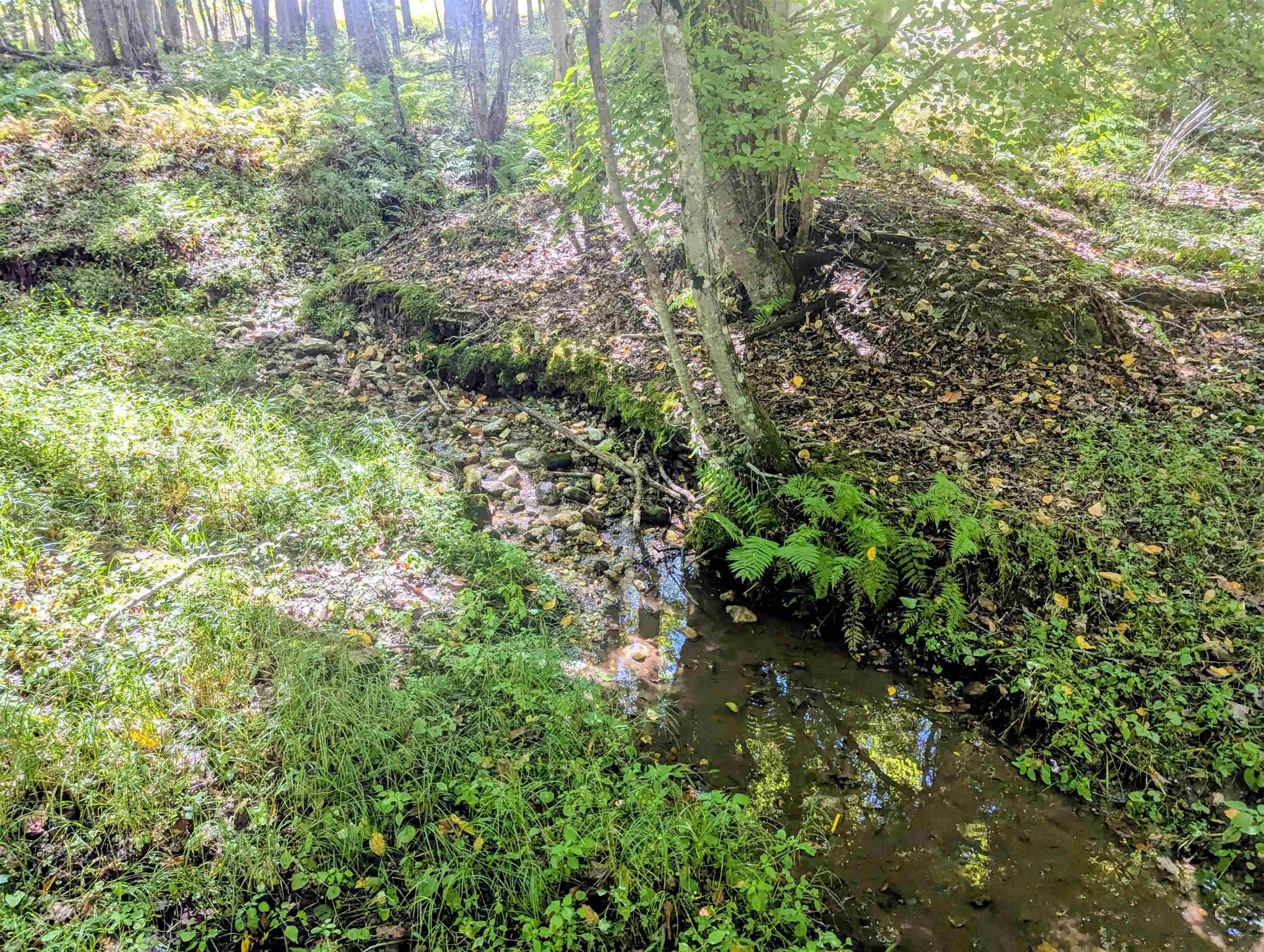 1705 Barberry Road Floyd VA 24091