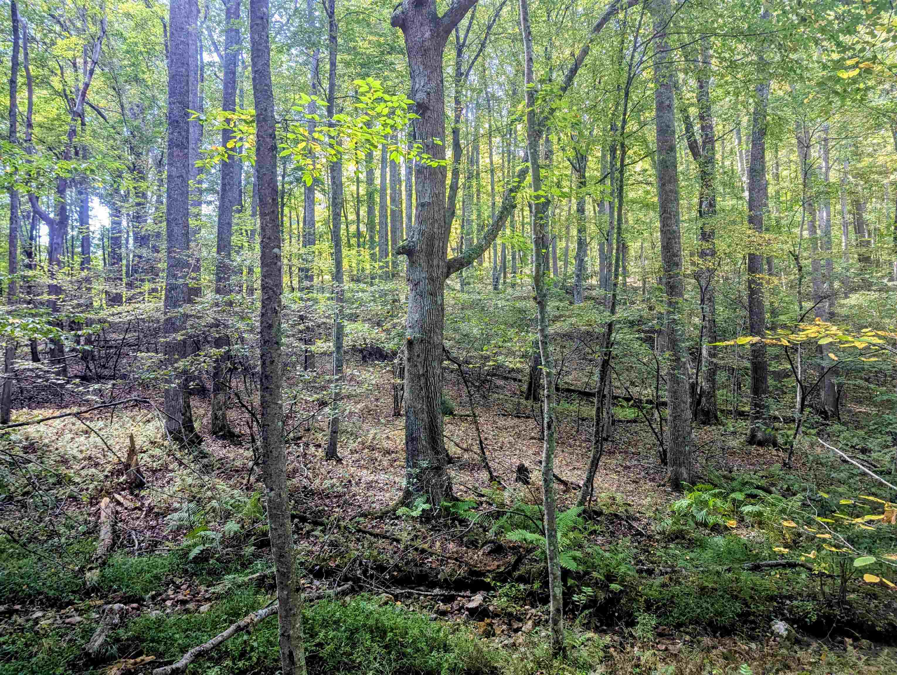 1705 Barberry Road Floyd VA 24091