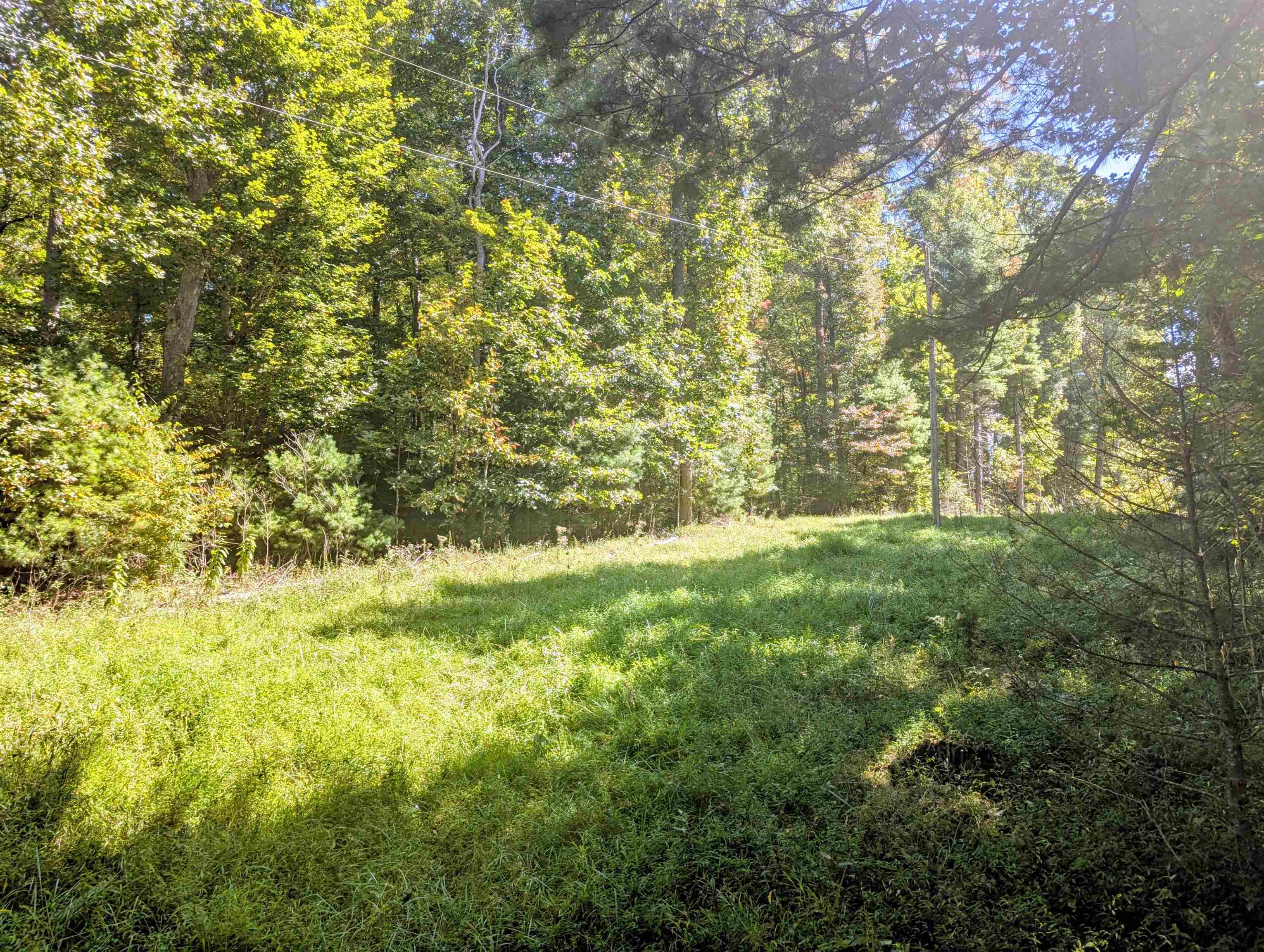 1705 Barberry Road Floyd VA 24091