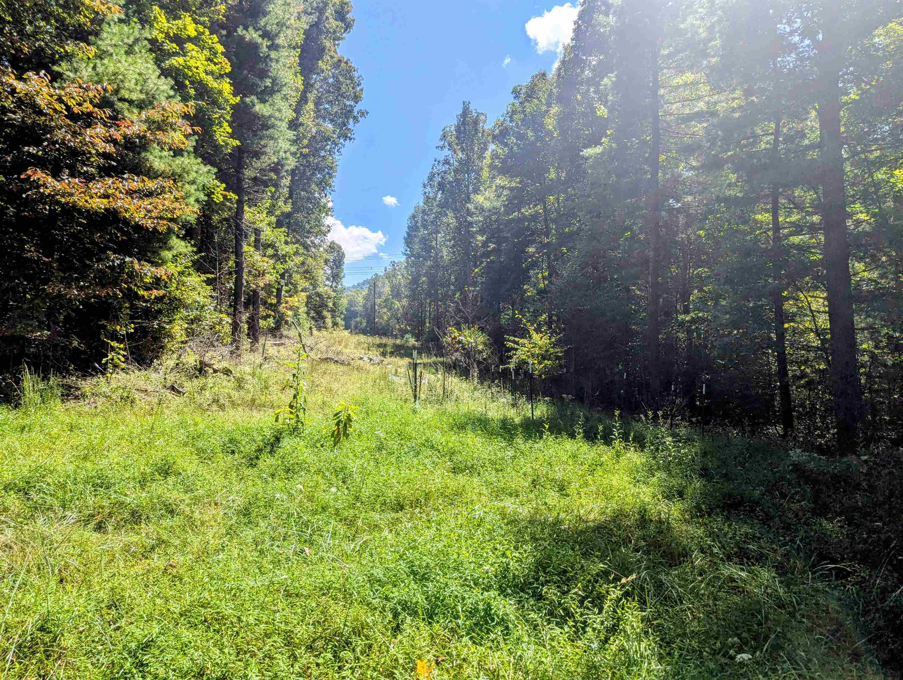 1705 Barberry Road Floyd VA 24091