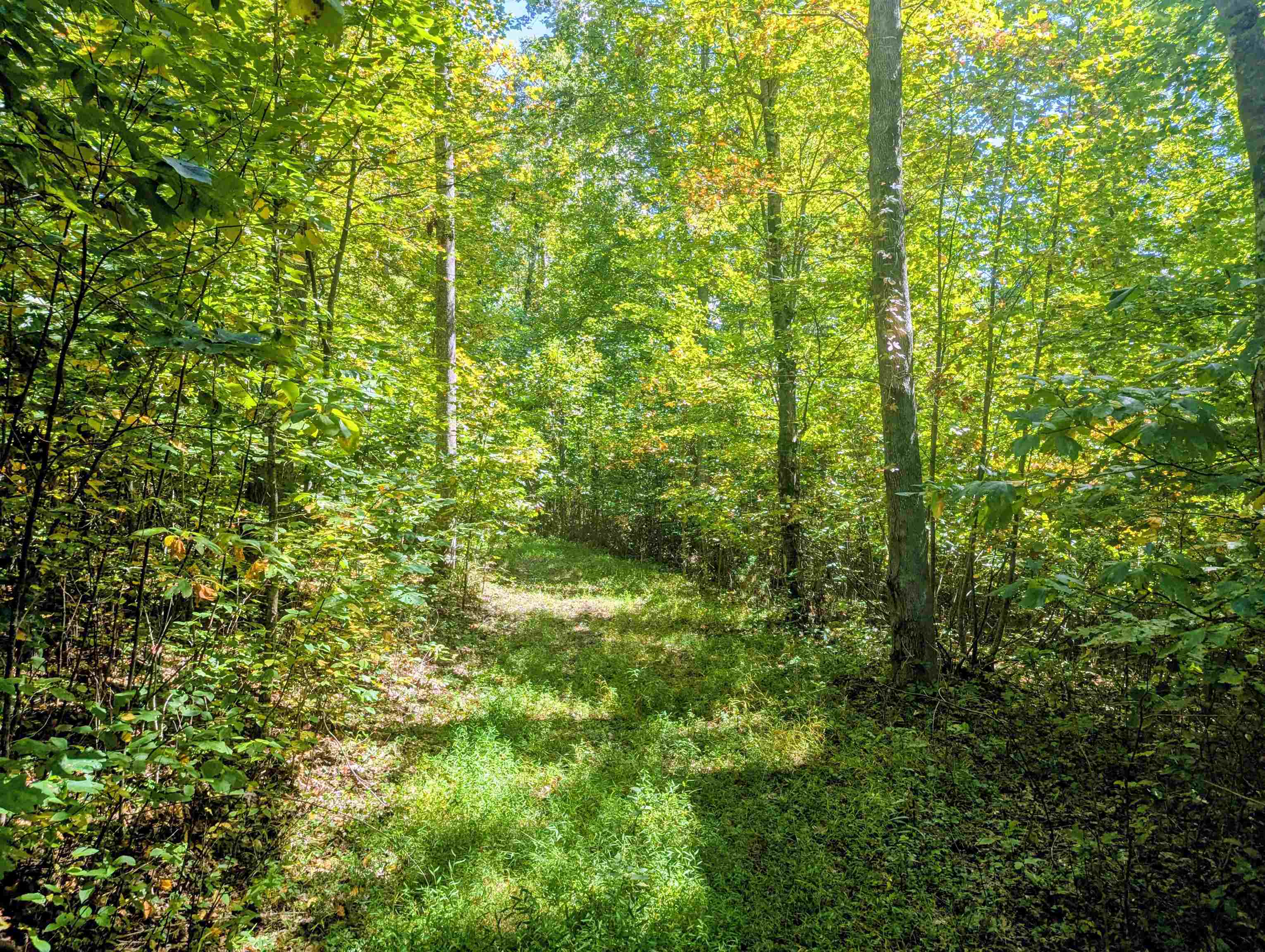 1705 Barberry Road Floyd VA 24091