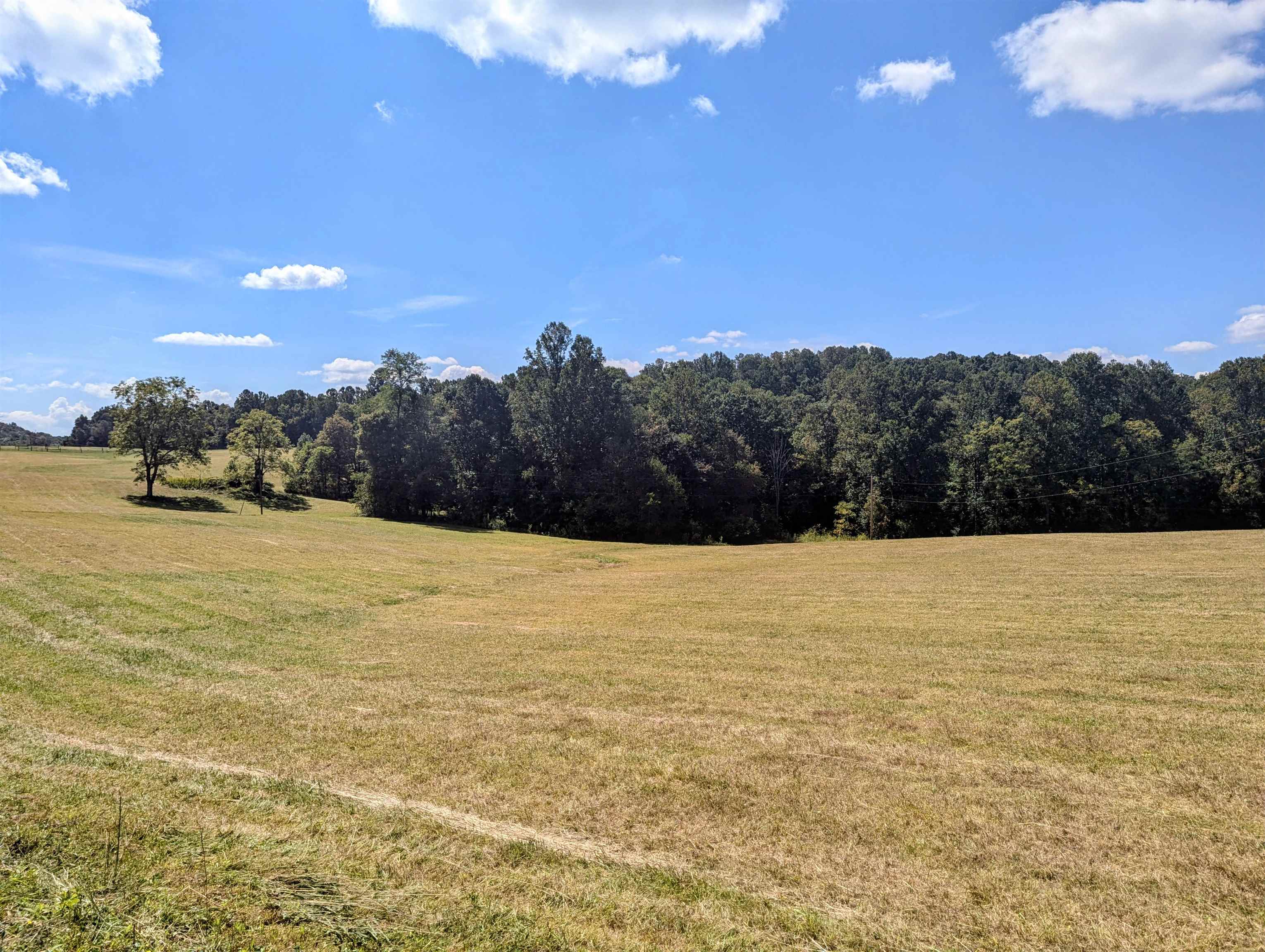 1705 Barberry Road Floyd VA 24091