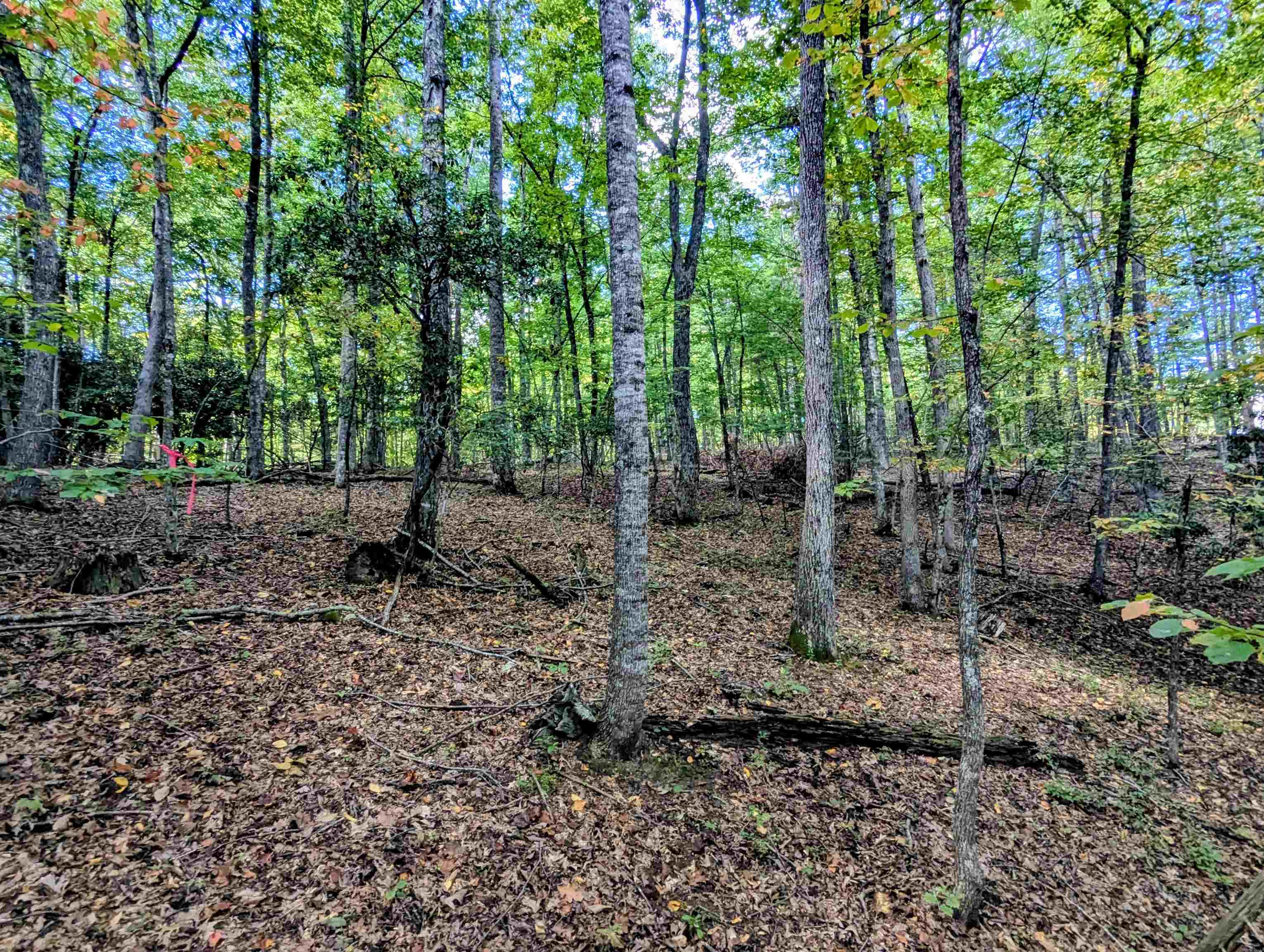 1705 Barberry Road Floyd VA 24091