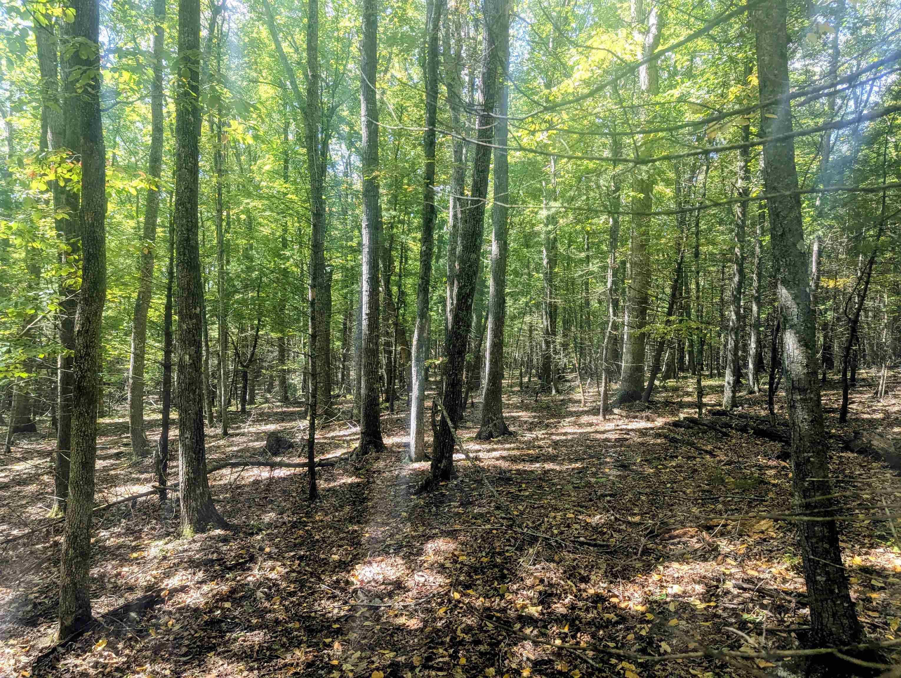 1705 Barberry Road Floyd VA 24091