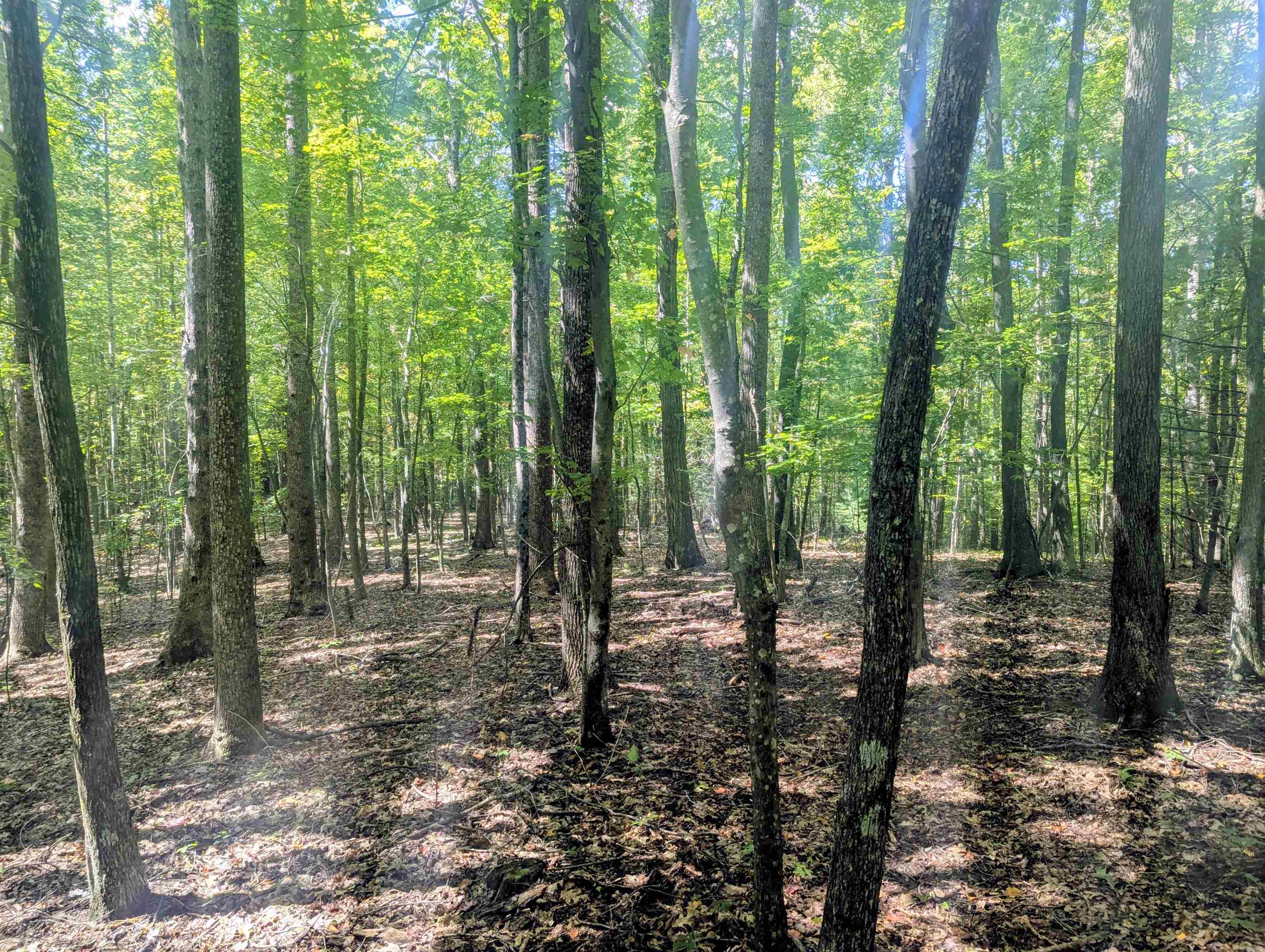 1705 Barberry Road Floyd VA 24091