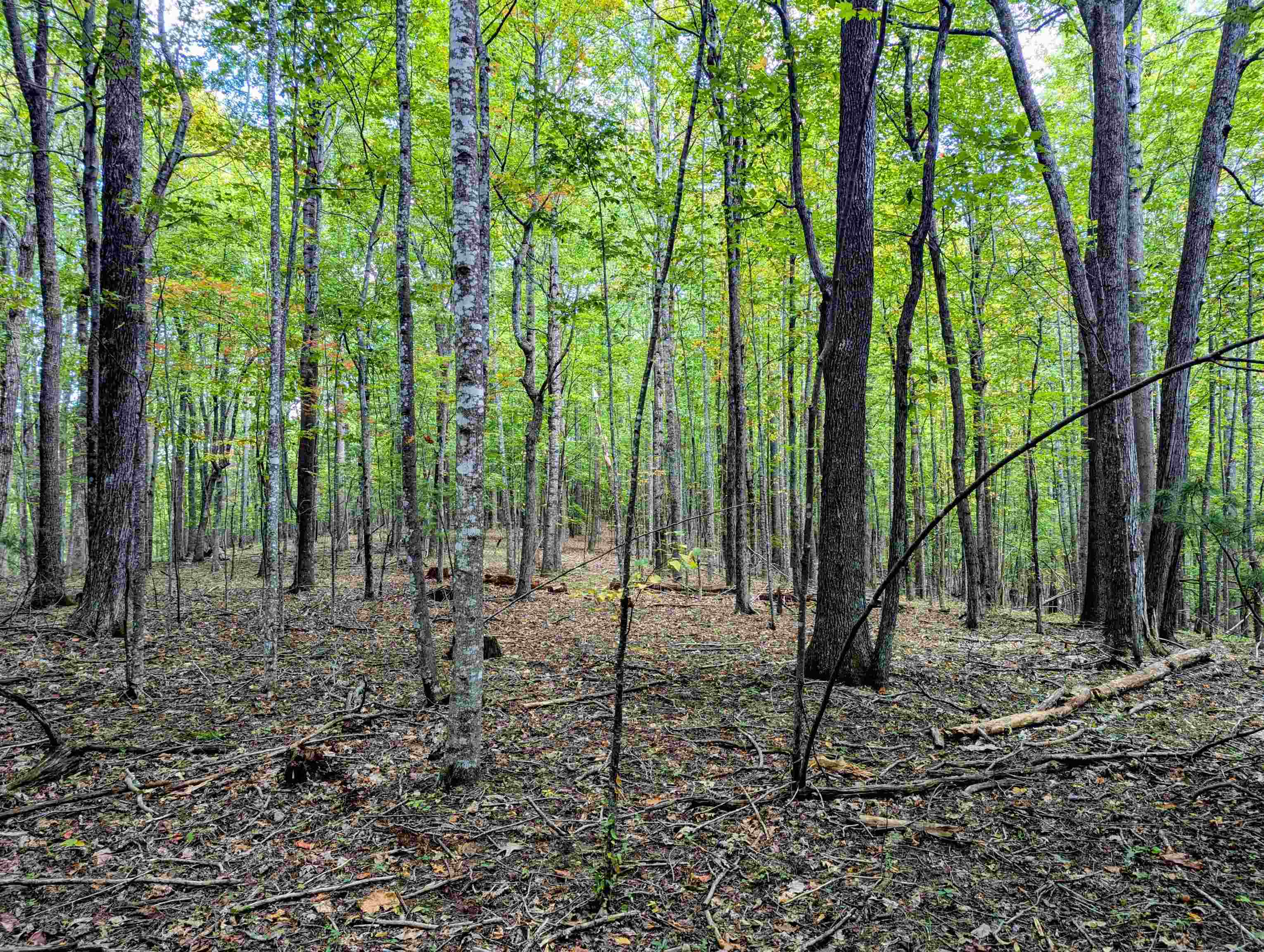 1705 Barberry Road Floyd VA 24091