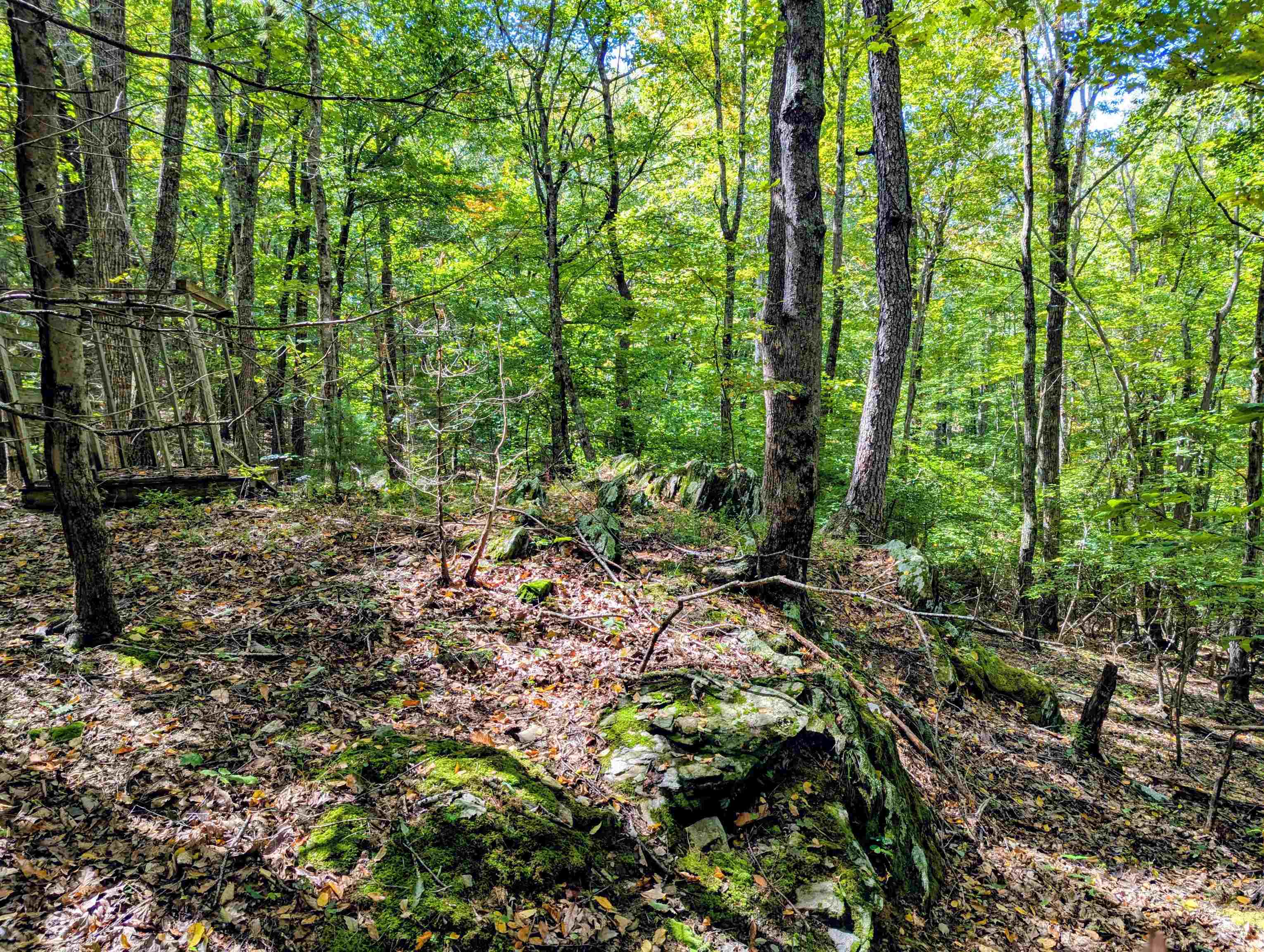 1705 Barberry Road Floyd VA 24091