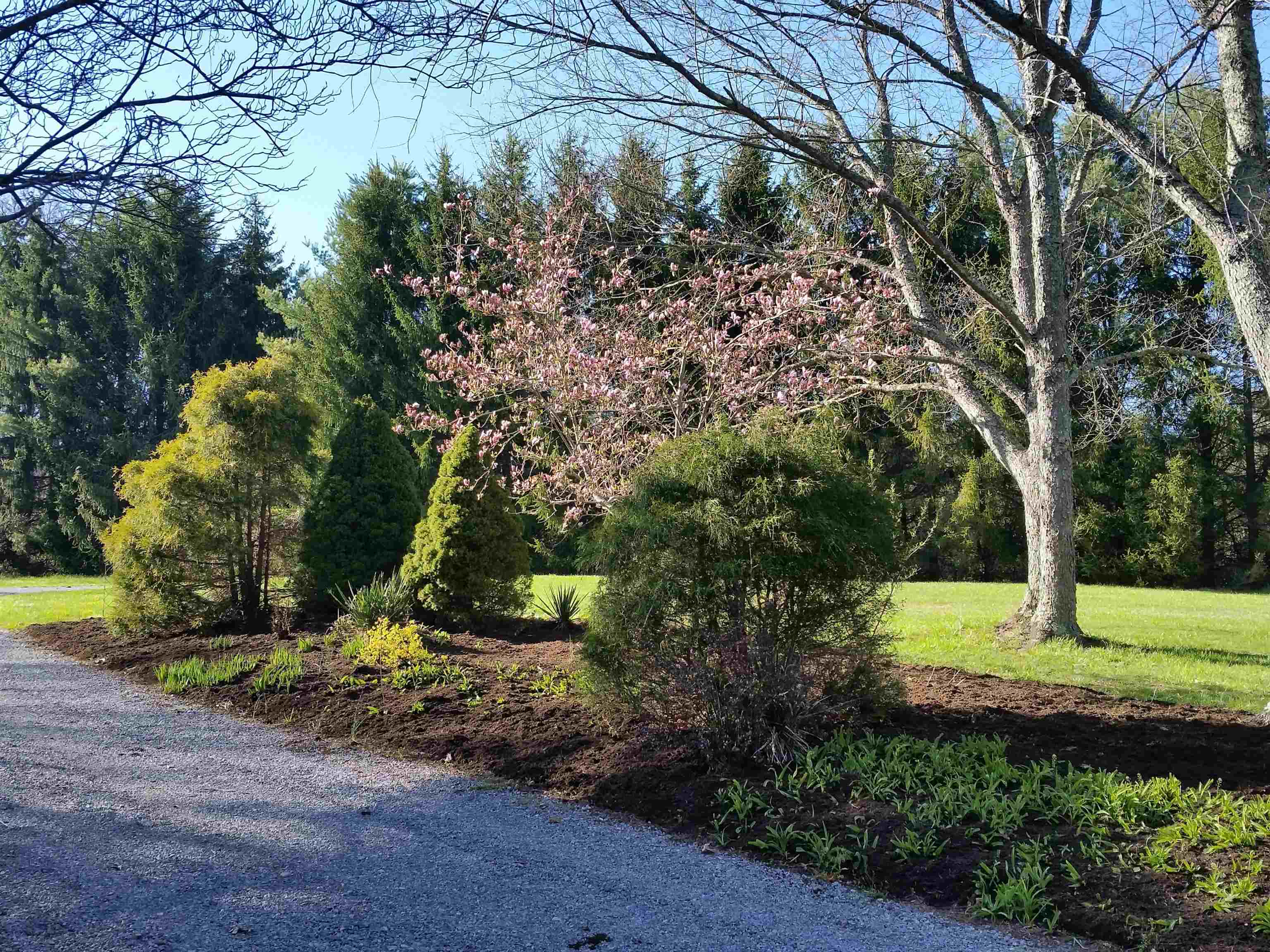 1465 Poff School Road Riner VA 24149