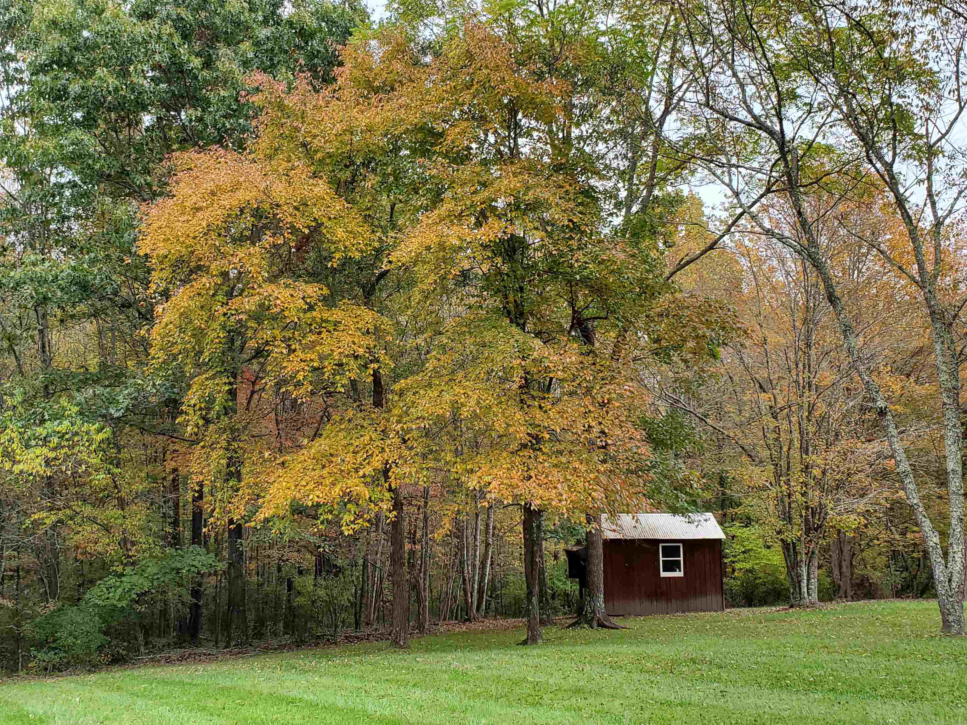 1465 Poff School Road Riner VA 24149