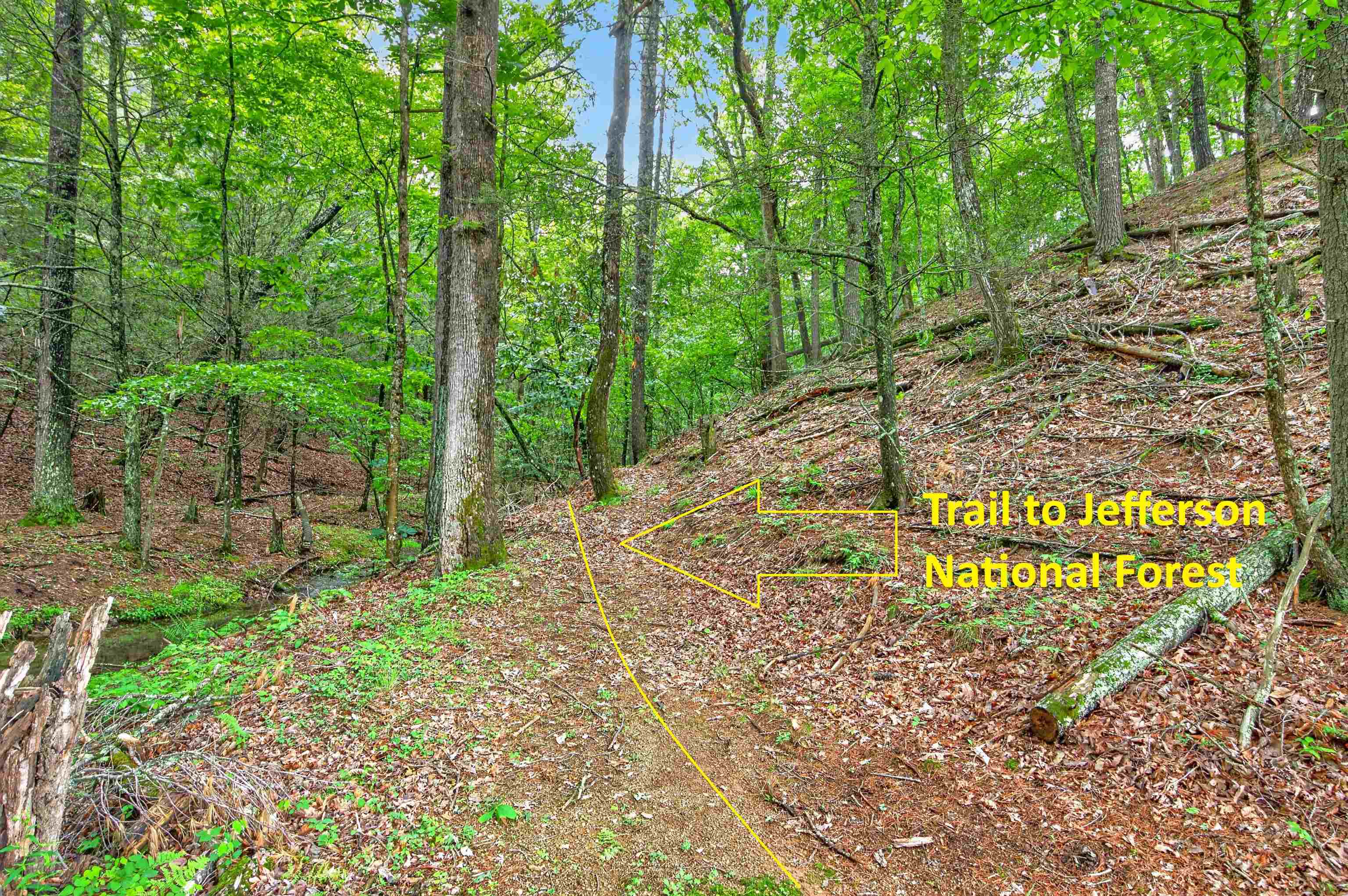 12222 Little Creek Highway Dublin VA 24084