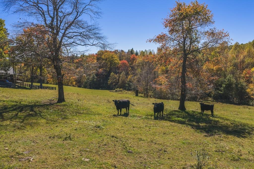 2038 Pilot View Drive Hillsville VA 24343
