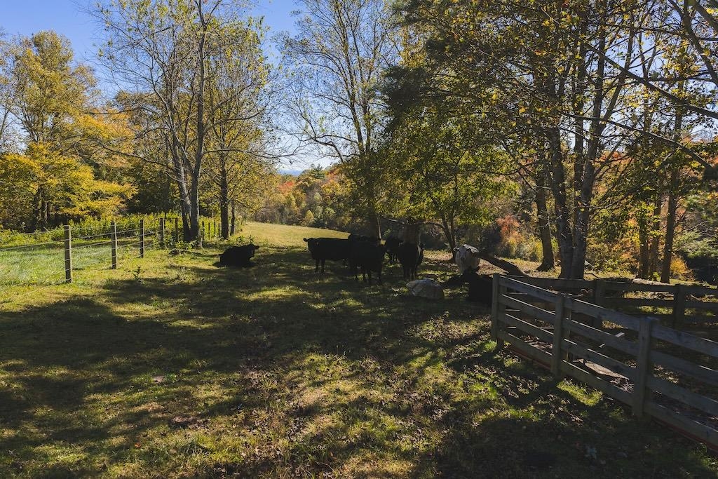 2038 Pilot View Drive Hillsville VA 24343