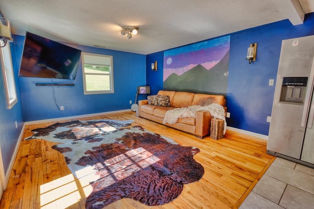 3594 Bethlehem Church Road Pilot VA 24138