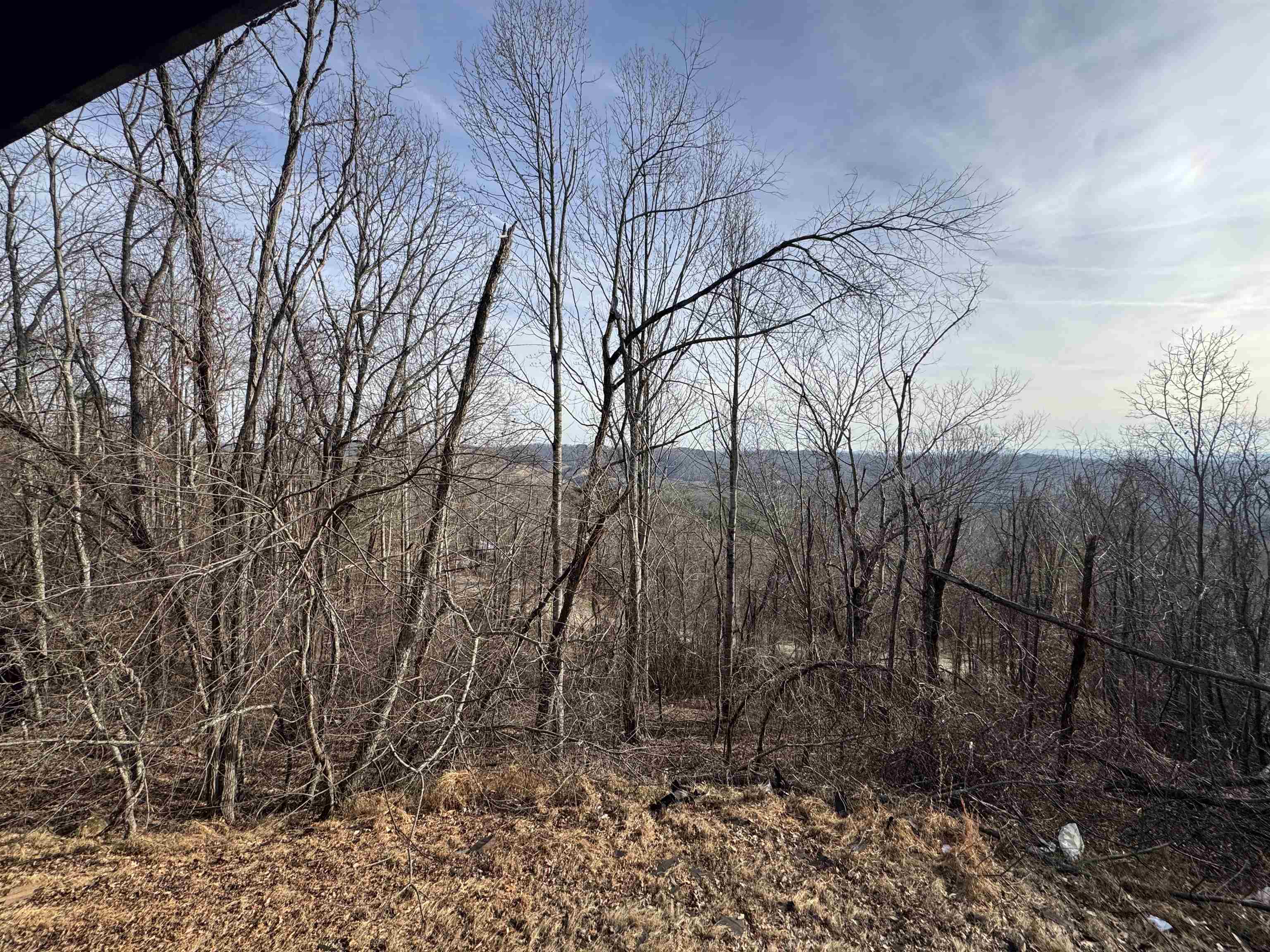 1212 Eagle View Drive NE Pilot VA 24138