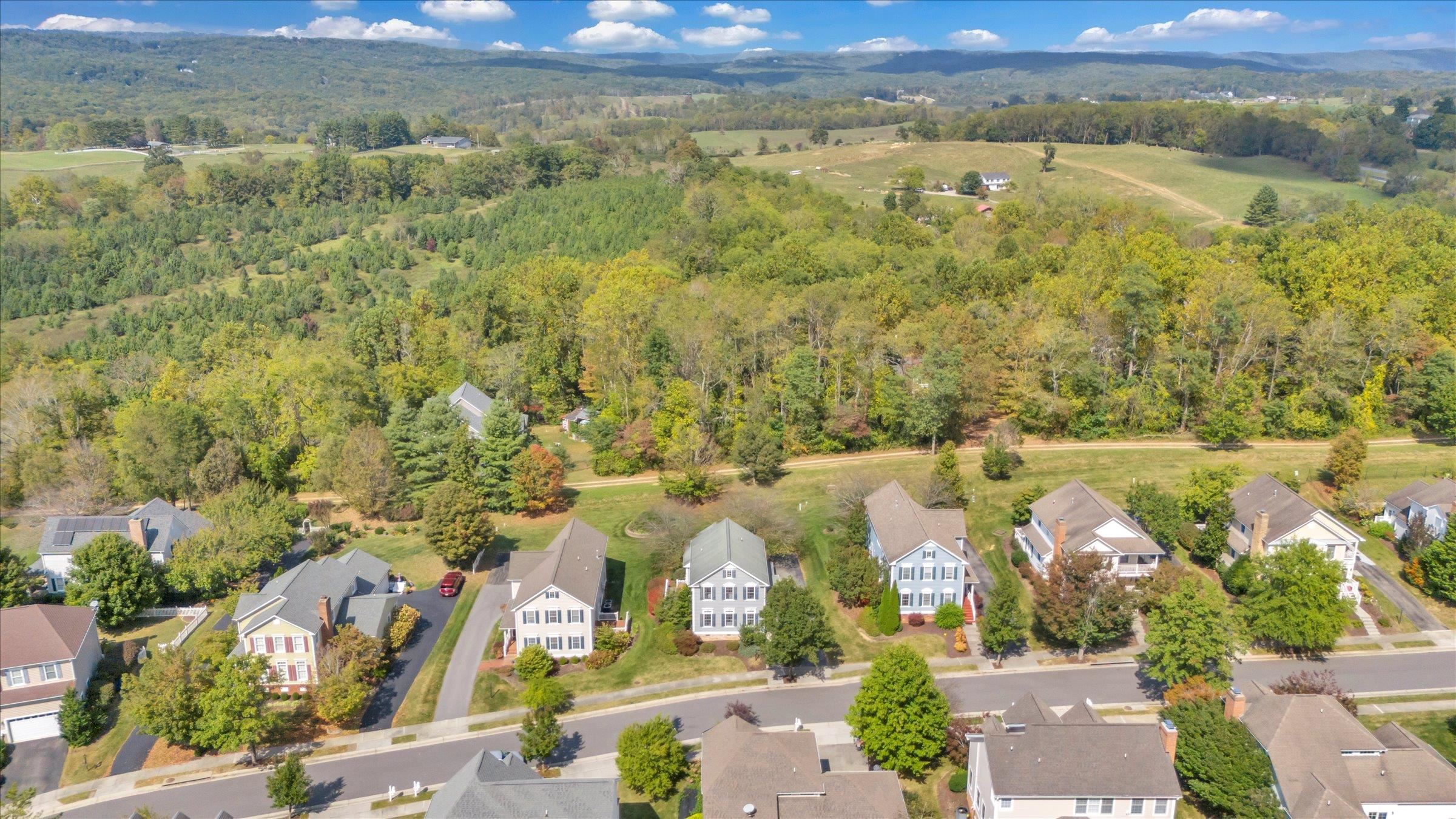 1113 Brook Circle Blacksburg VA 24060