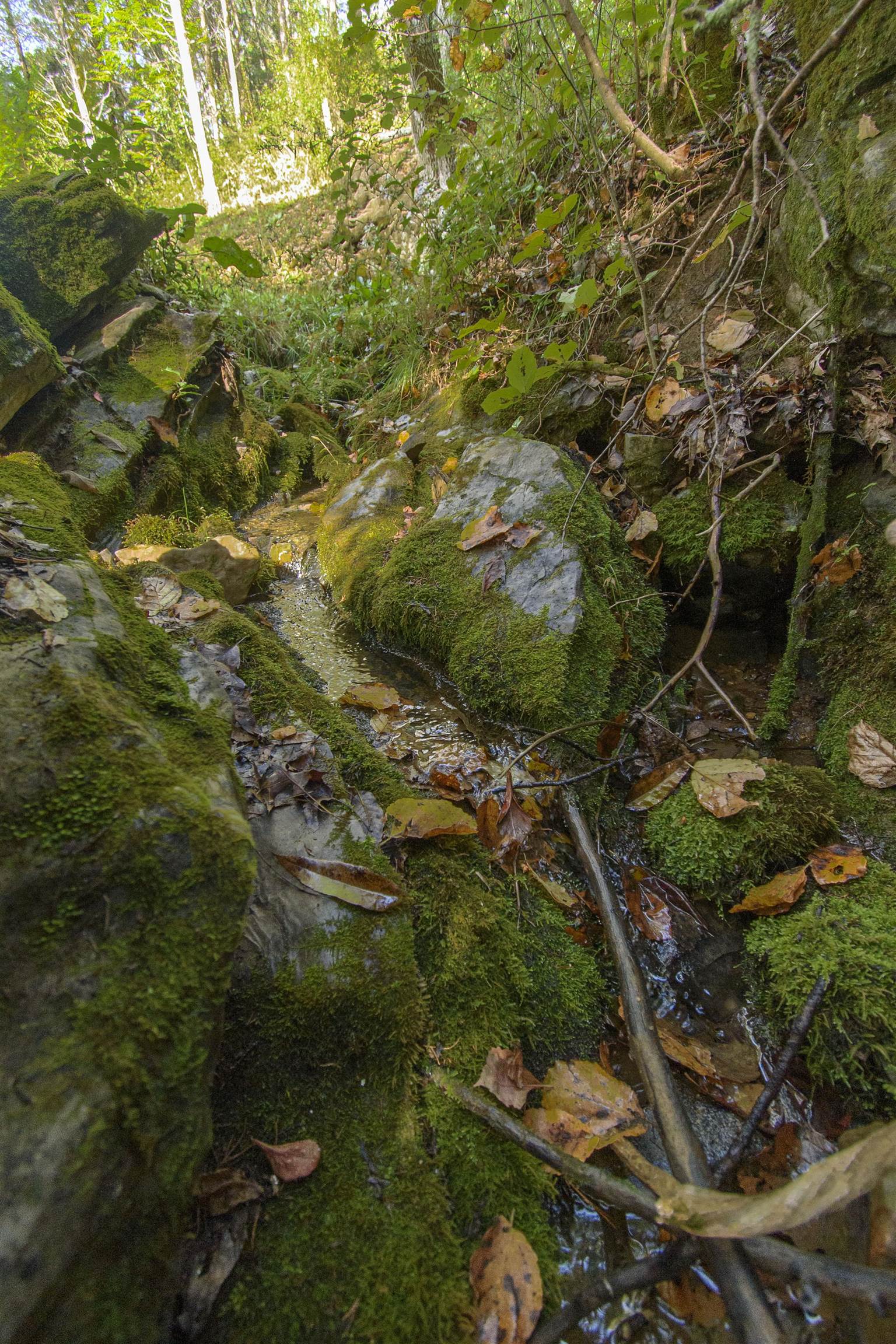 5600 Mount Tabor Road Catawba VA 24070