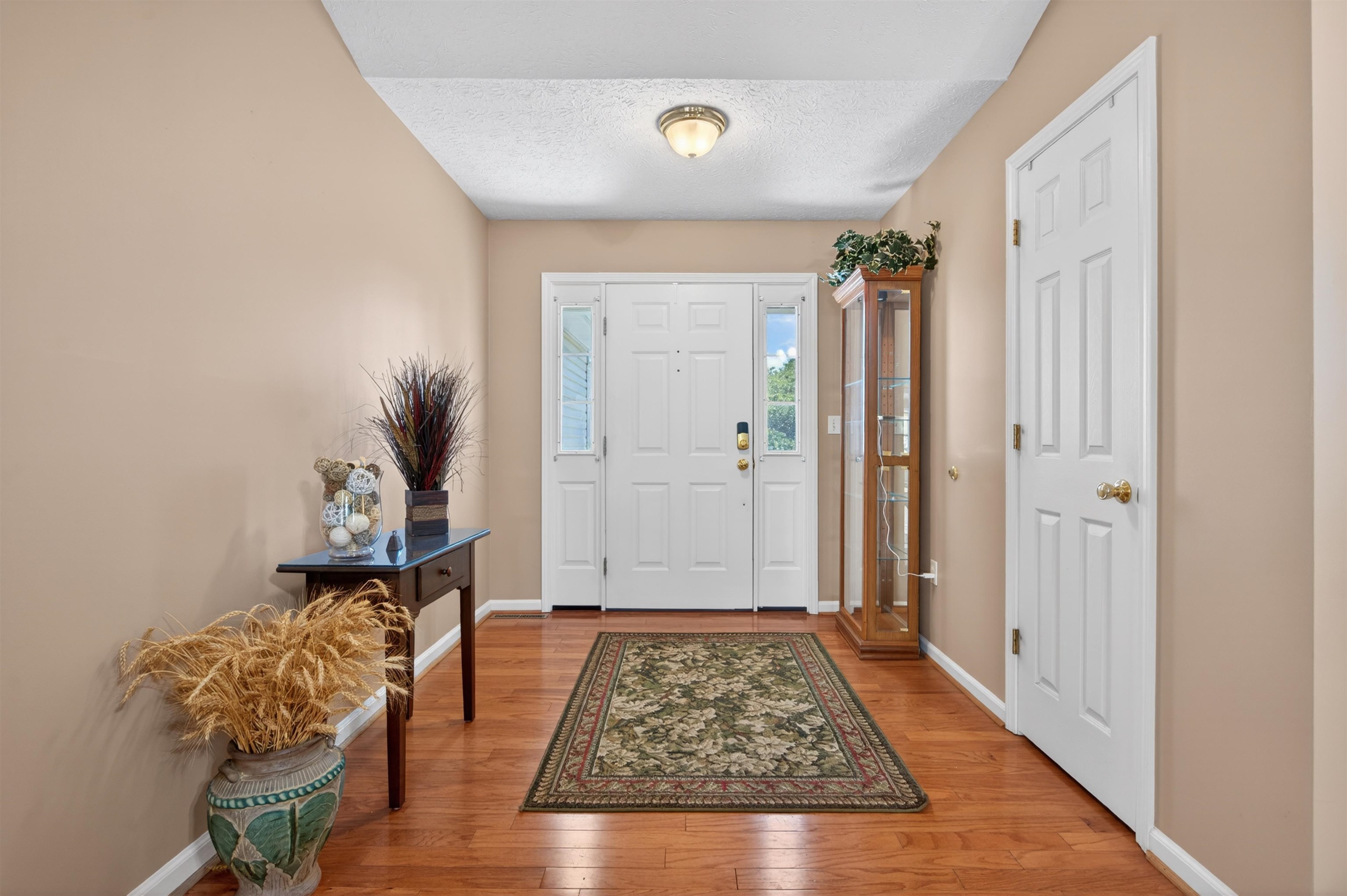 4793 Barton Drive Dublin VA 24084